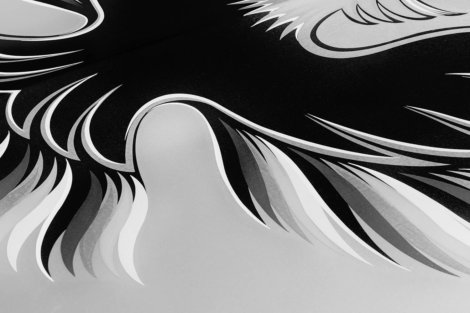 Made for Motion No. 29
