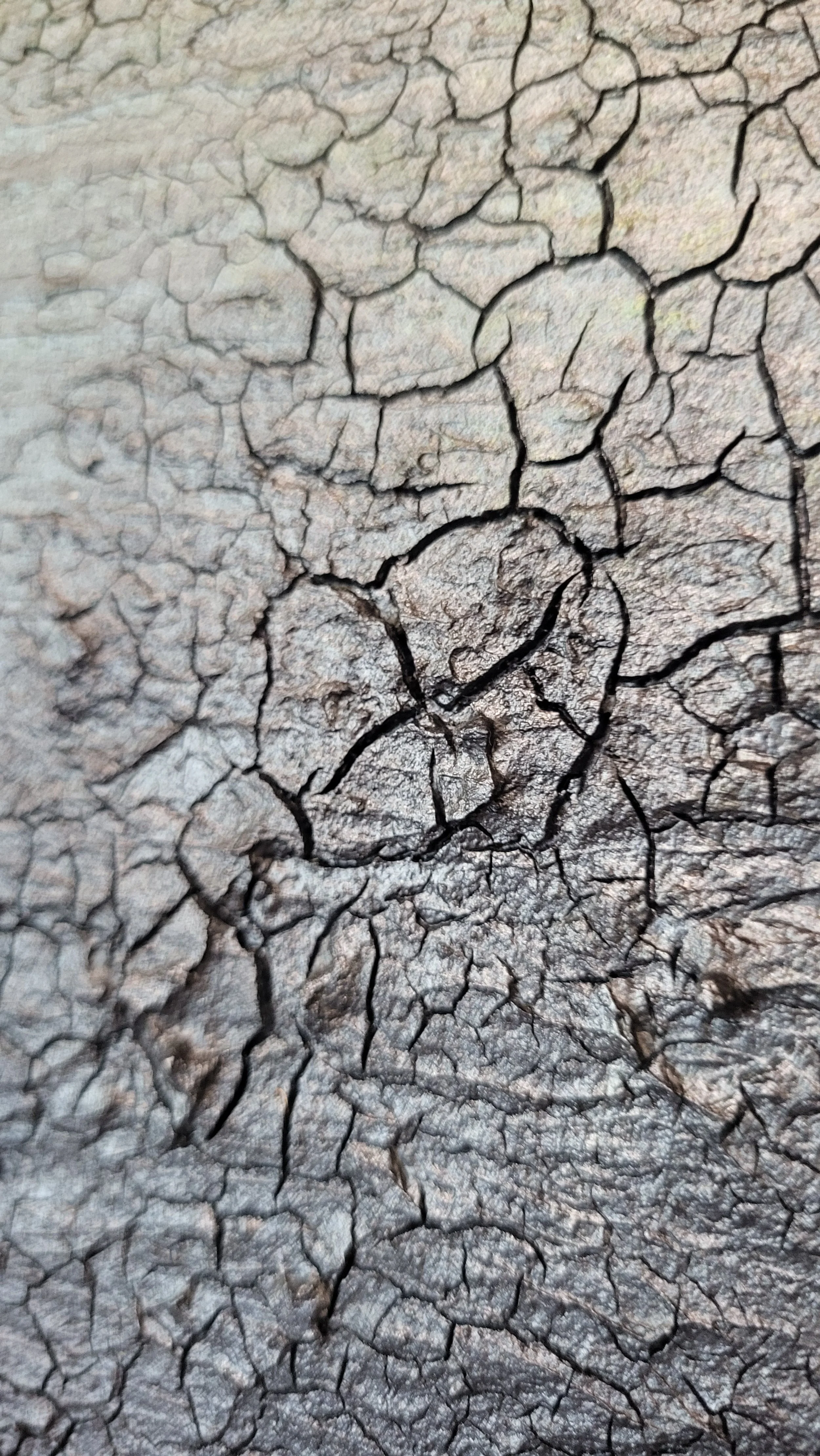 Hidden Landscape – Abstraktes Original-Gemälde von Pia Holzinger mit Marmormehl und Acryl auf Leinwand.