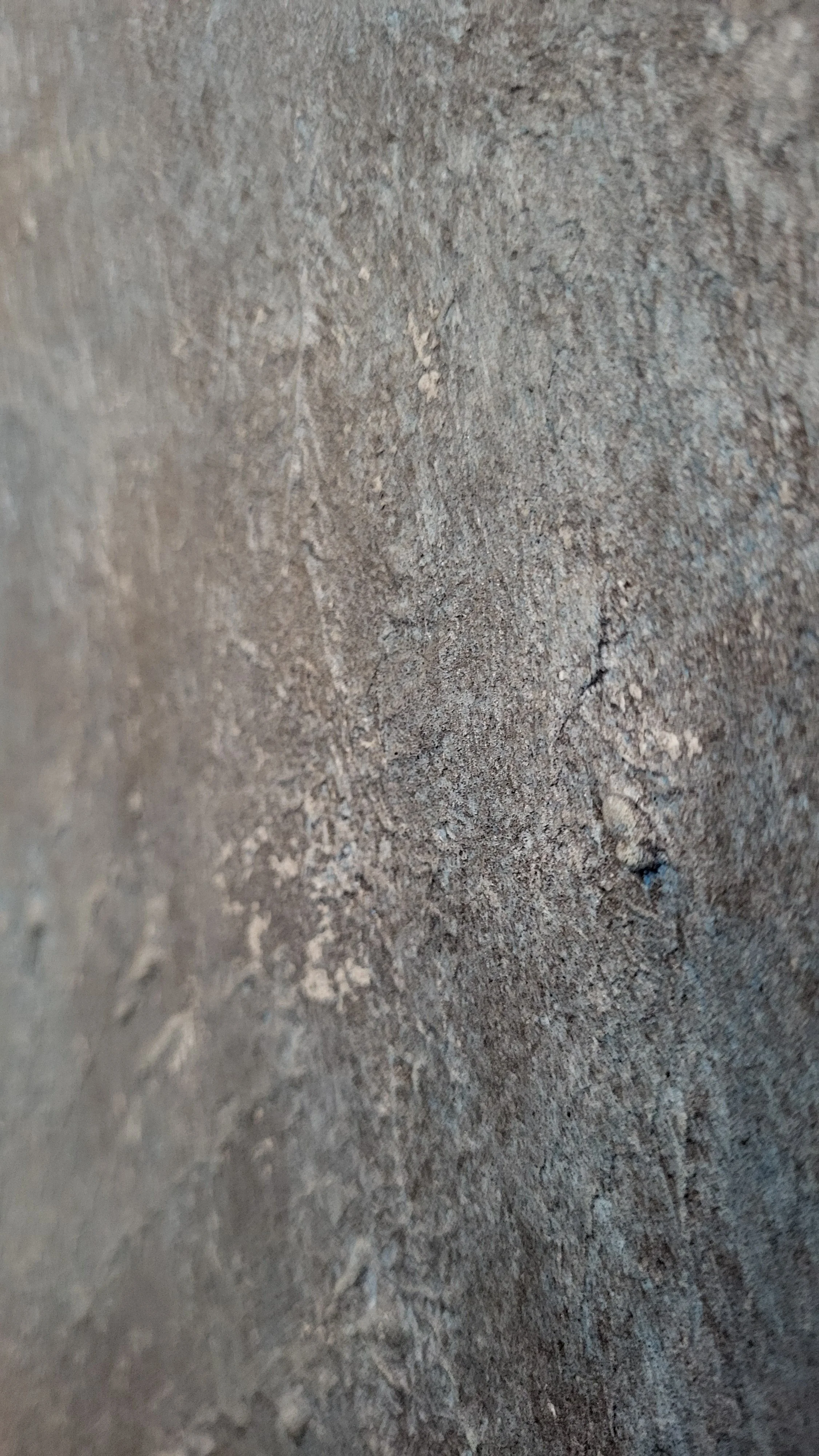 Golden Circles 7.jpg