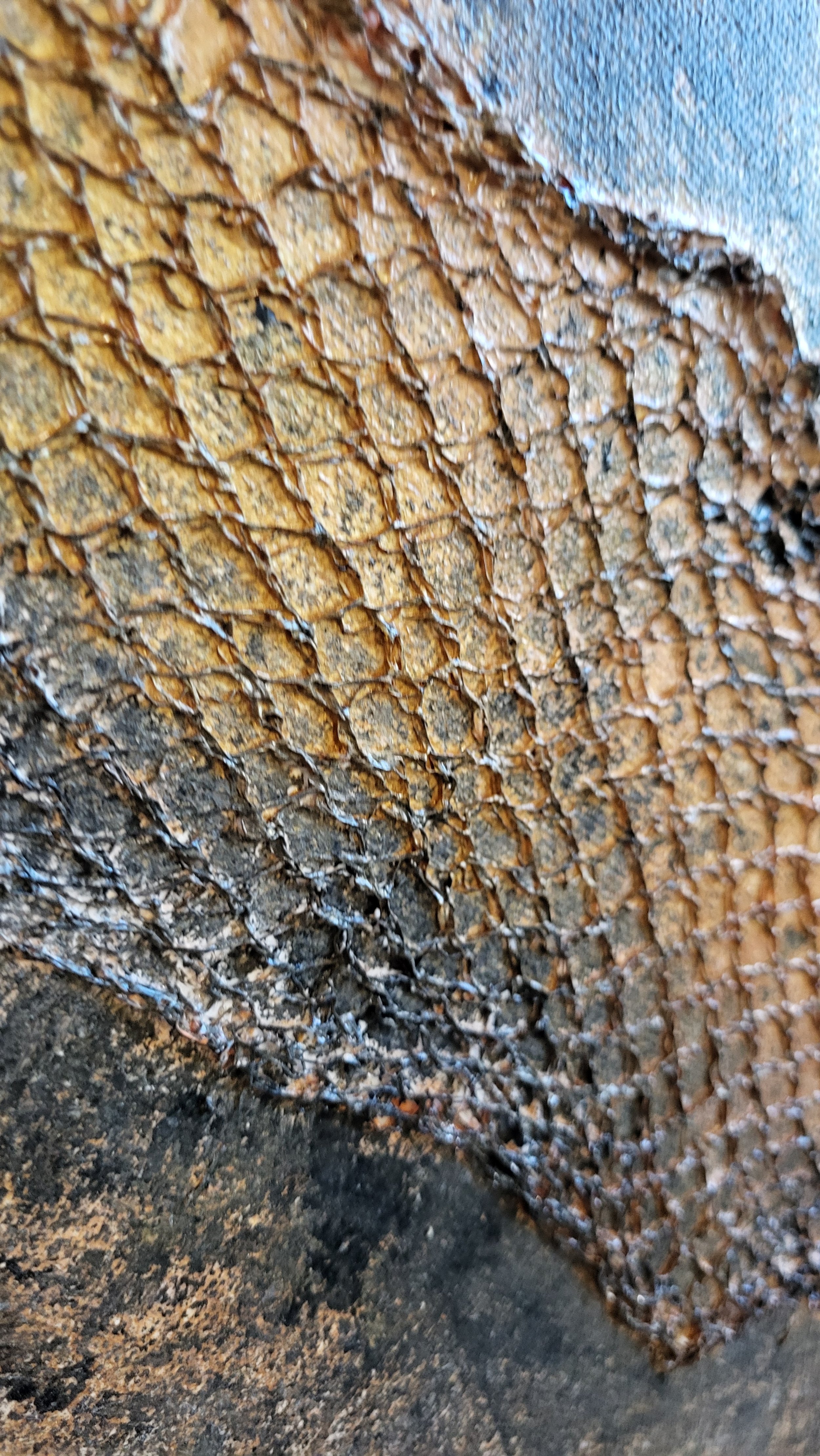 Netz Bronze – Großformatiges Original-Wandobjekt von Pia Holzinger mit eingearbeitetem Obstnetz und Acryl auf Leinwand.