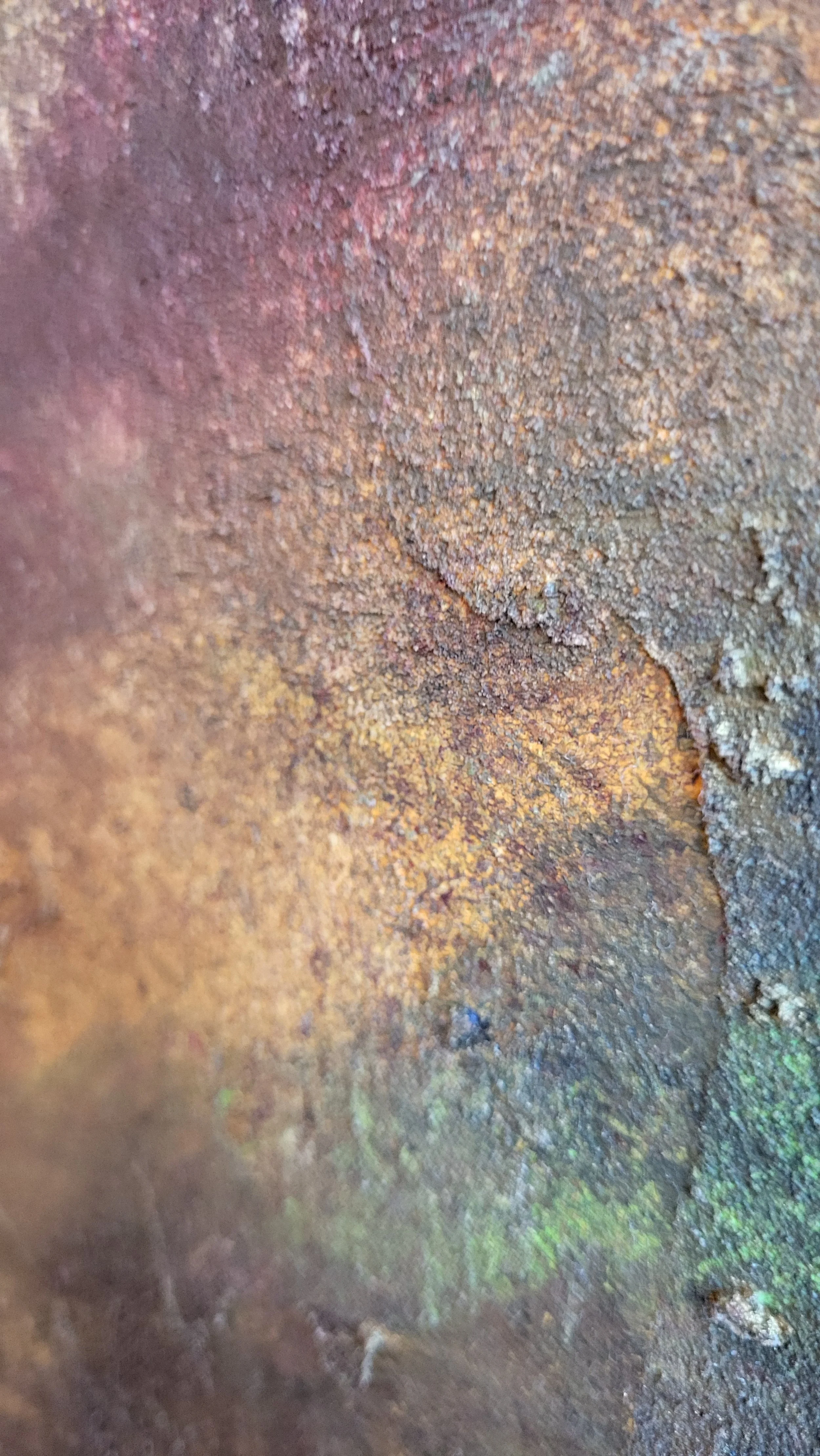 Fall is coming – Großformatiges Original-Gemälde von Pia Holzinger mit haptischer Strukturpaste und Acryl auf Leinwand.