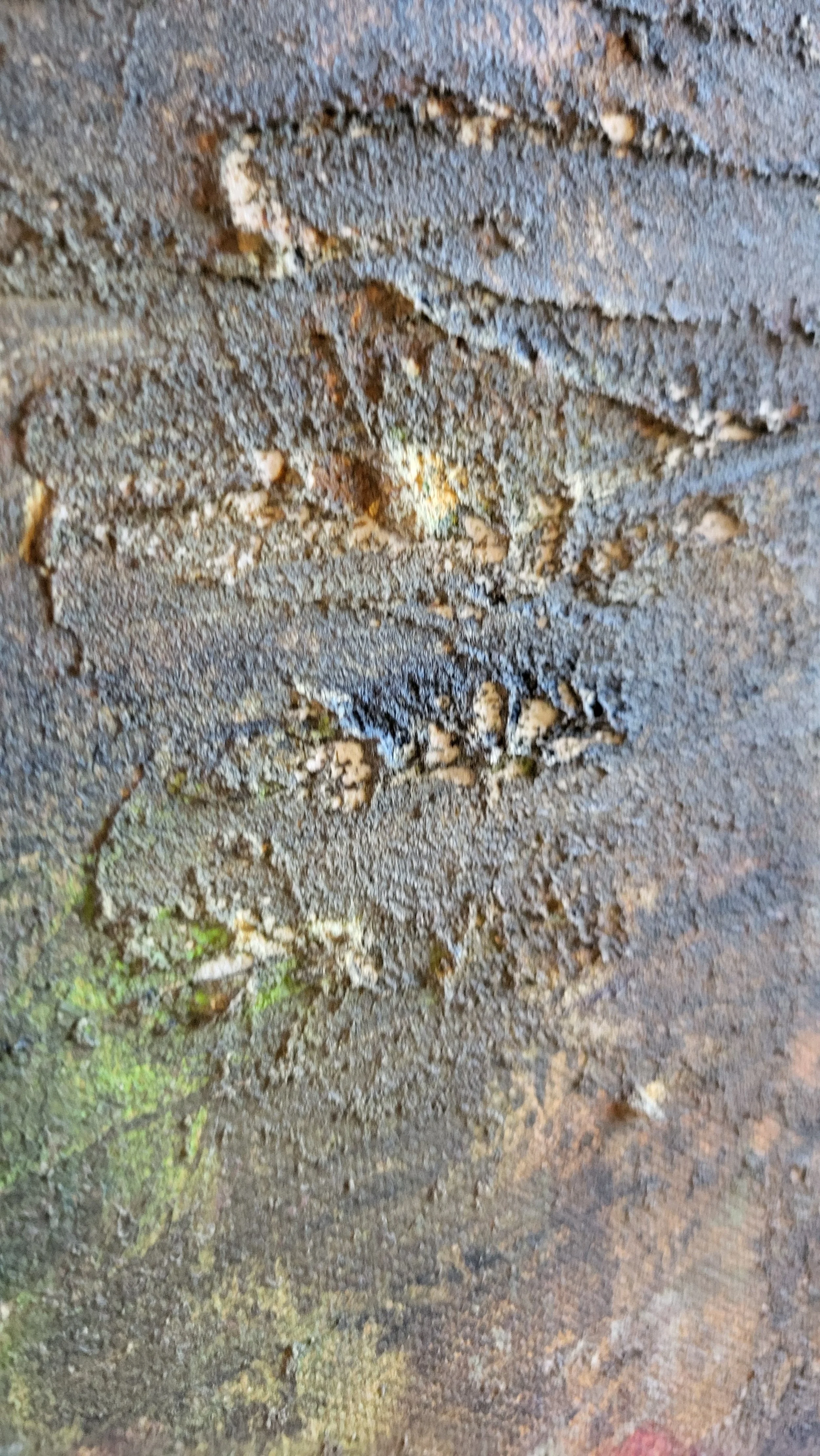 Fall is coming – Großformatiges Original-Gemälde von Pia Holzinger mit haptischer Strukturpaste und Acryl auf Leinwand.