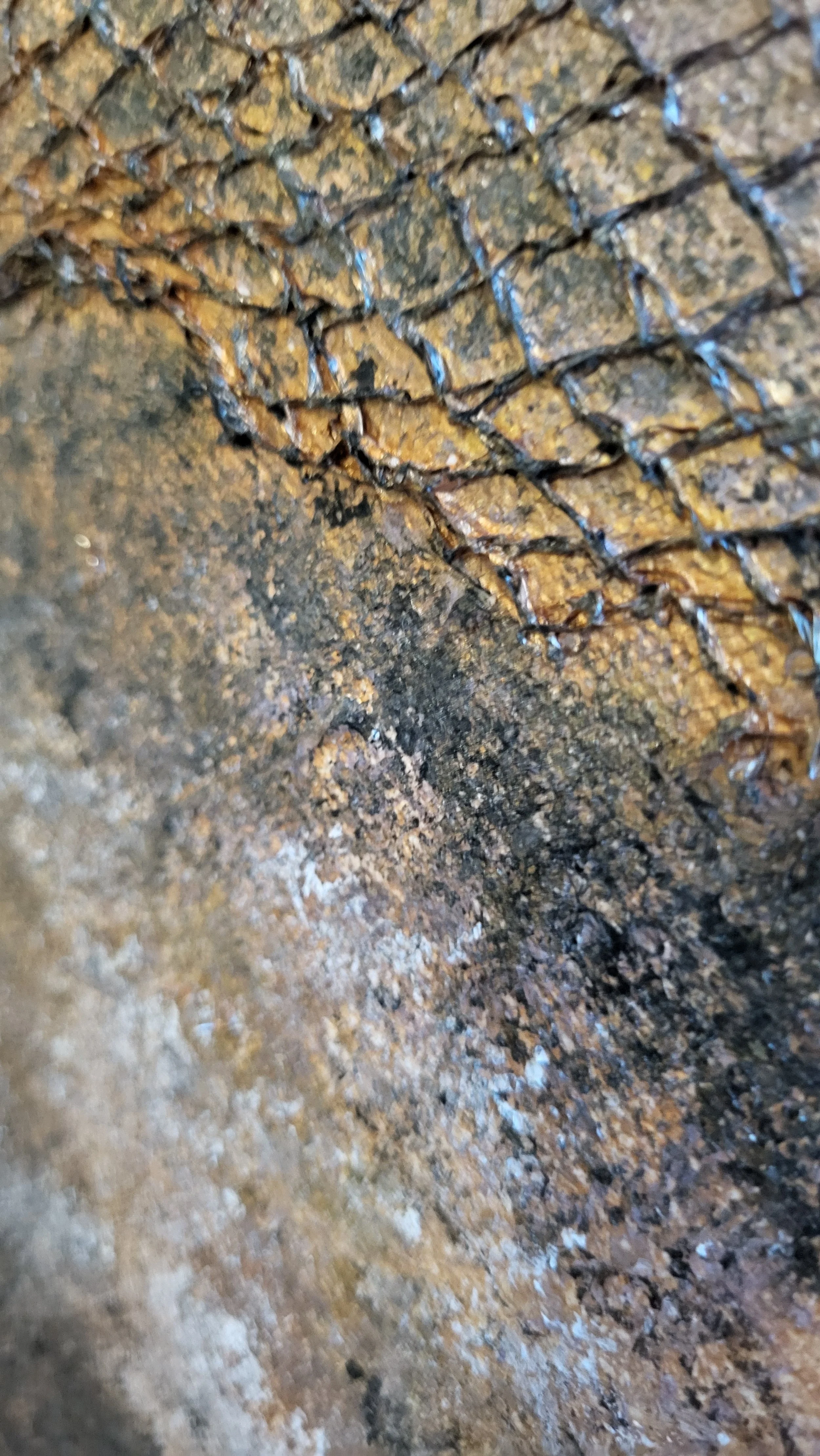 Netz Bronze – Großformatiges Original-Wandobjekt von Pia Holzinger mit eingearbeitetem Obstnetz und Acryl auf Leinwand.