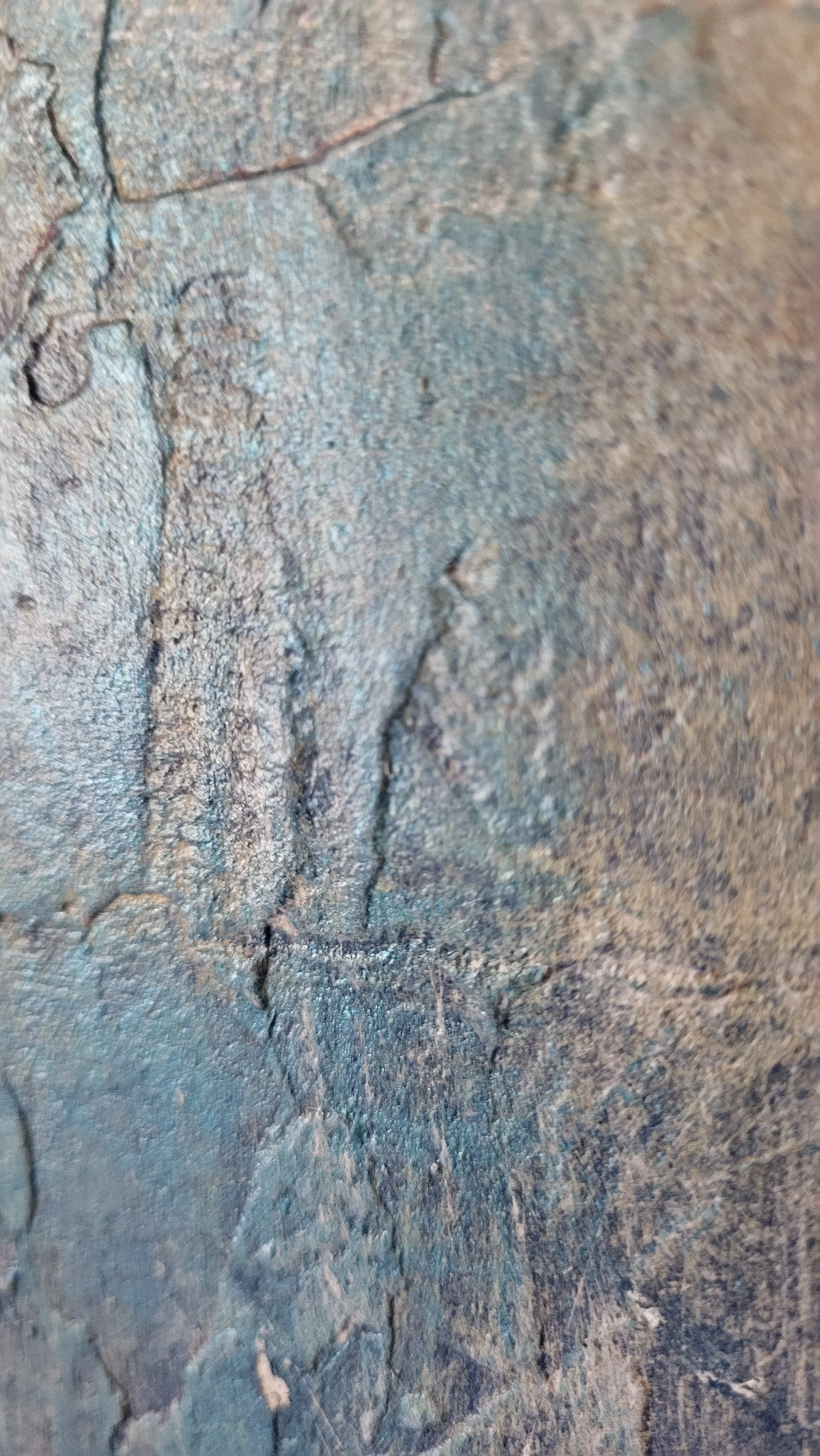 Pia_Holzinger_Art_Waage 3.jpg