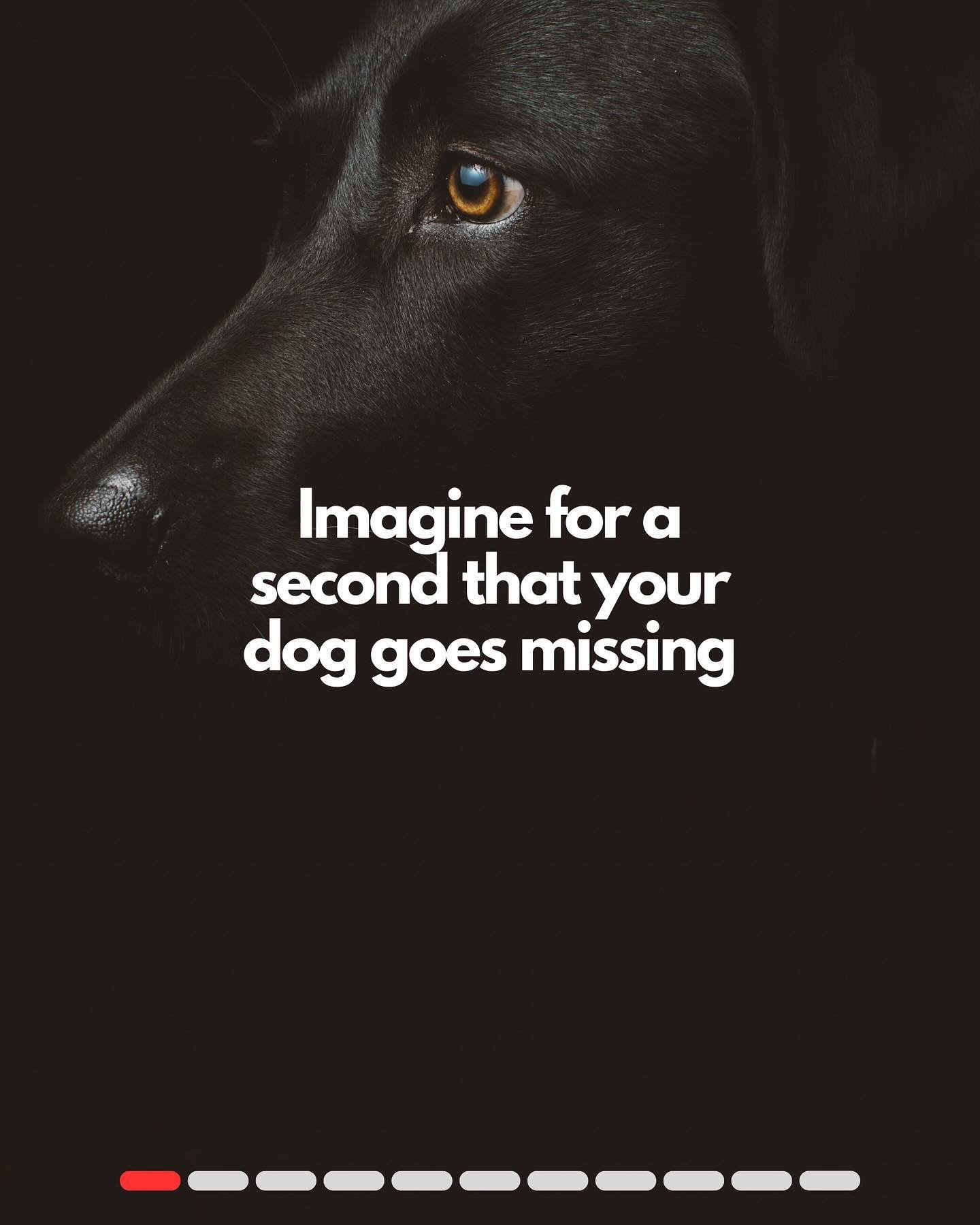 Today is National &lsquo;Check the Chip&rsquo; Day. If you do one thing today, make sure you check your dog&rsquo;s microchip details. Don&rsquo;t regret it later, keeping them safe starts with you 🫵

📢 Share this to help make sure every dog finds 