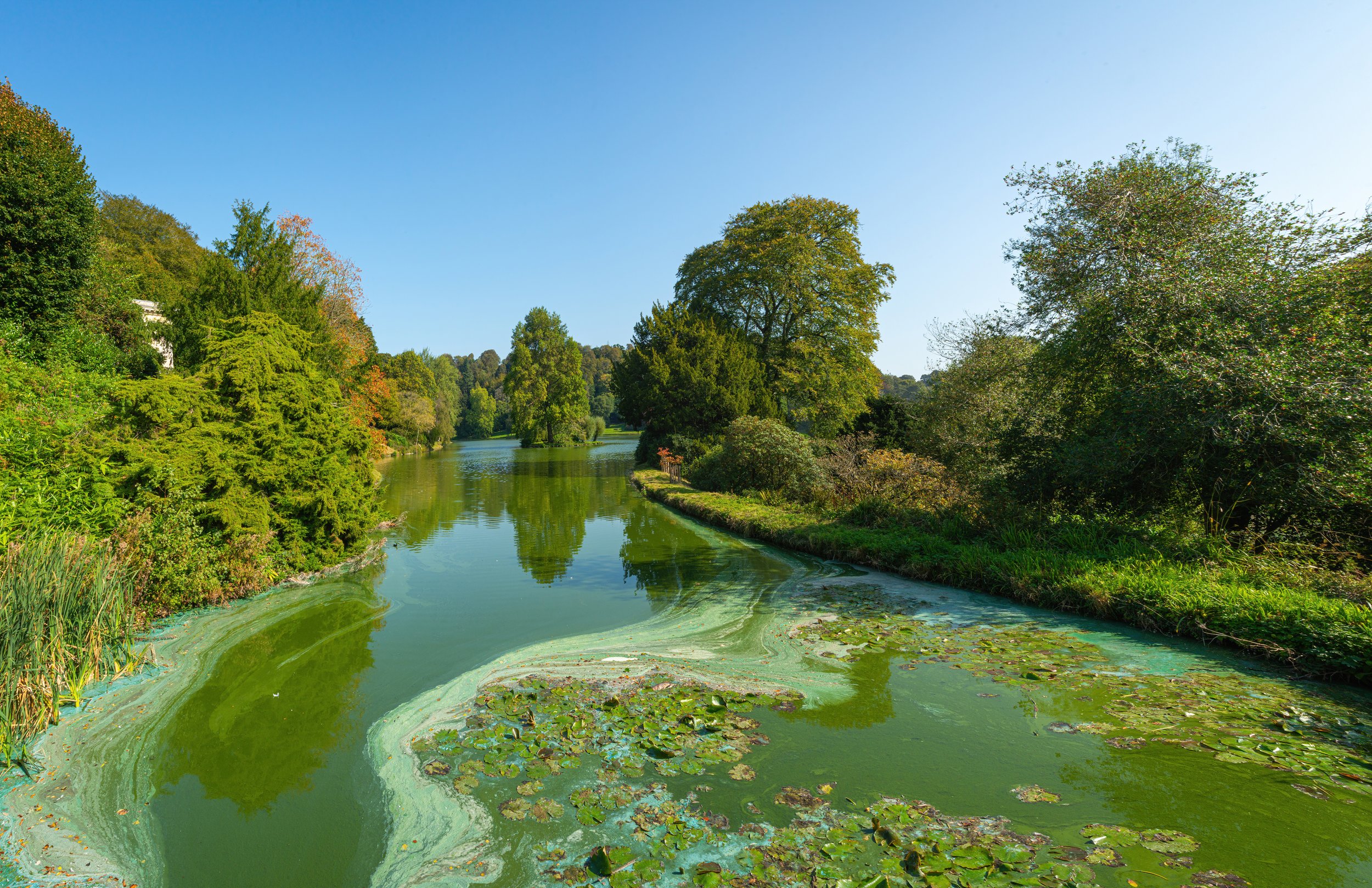 The Dangers of Blue-Green Algae