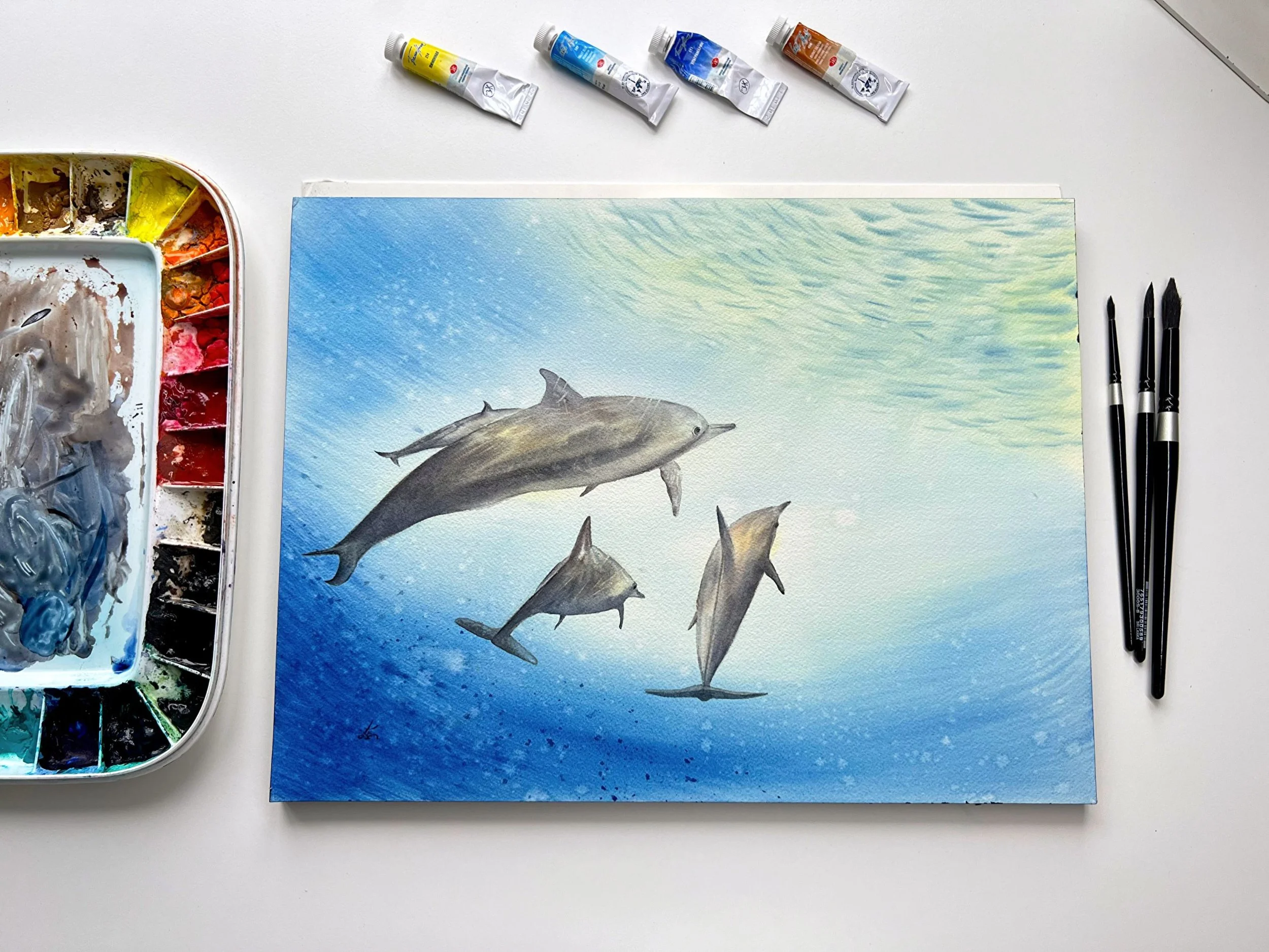 Underwater Creatures Art: Dolphins in Watercolor - Marine Mammals