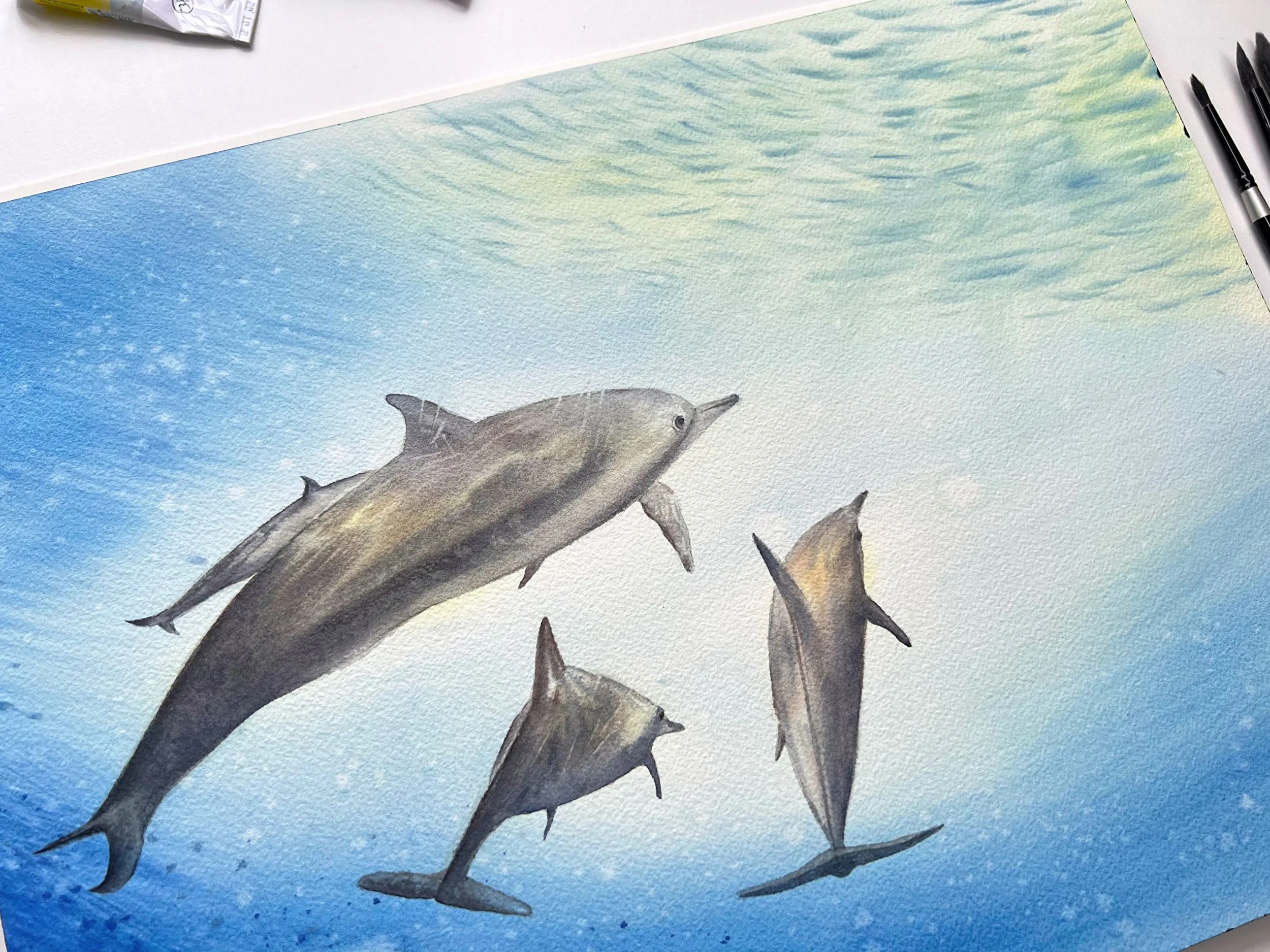 Wildlife Animals in Watercolor: Dolphins Swimming Up Towards the Light