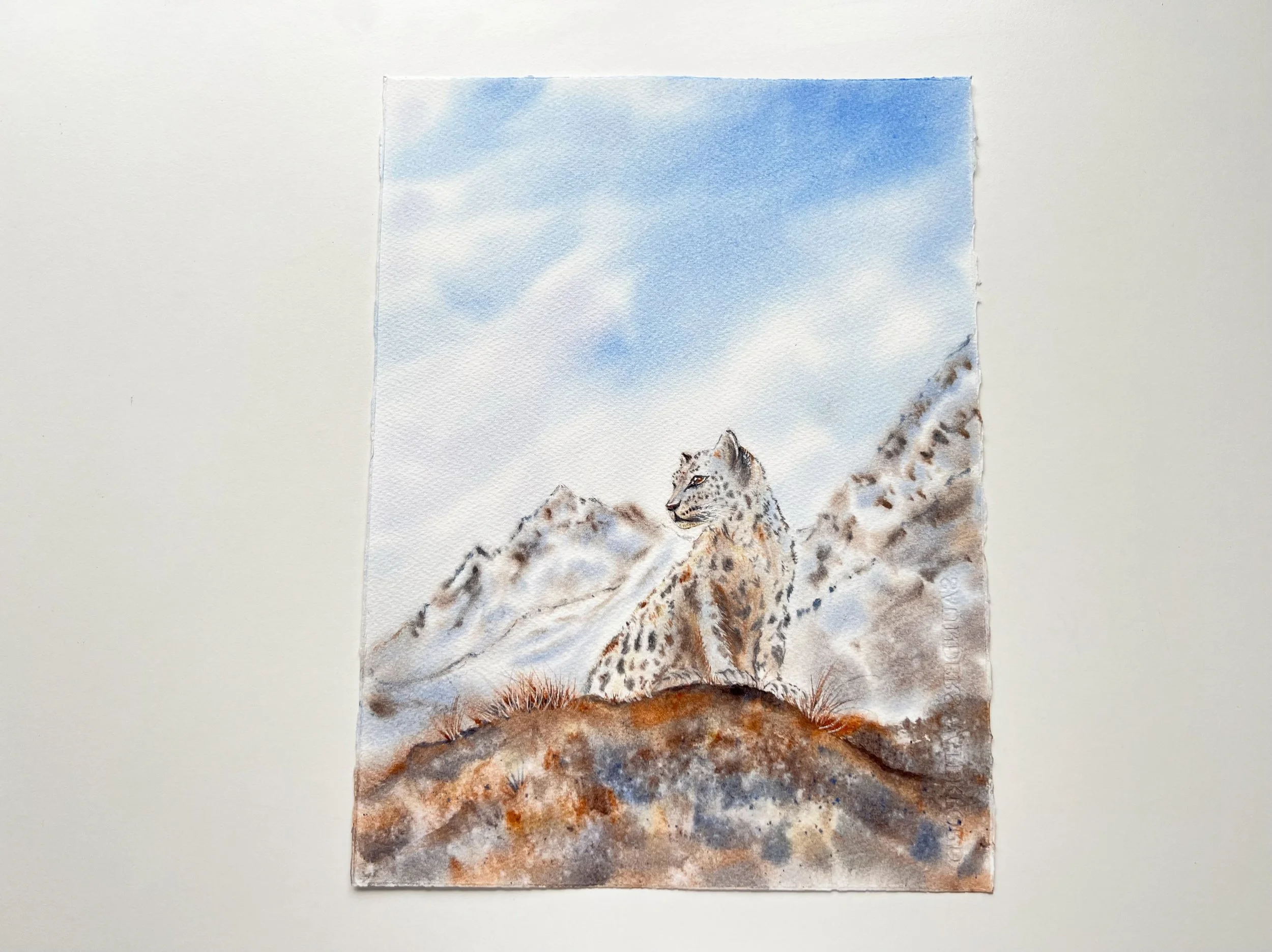 This si an Original Wildlife Watercolor Painting of a Snow Leopard siting on a brown mossy cliff in front of a snowy mountain.