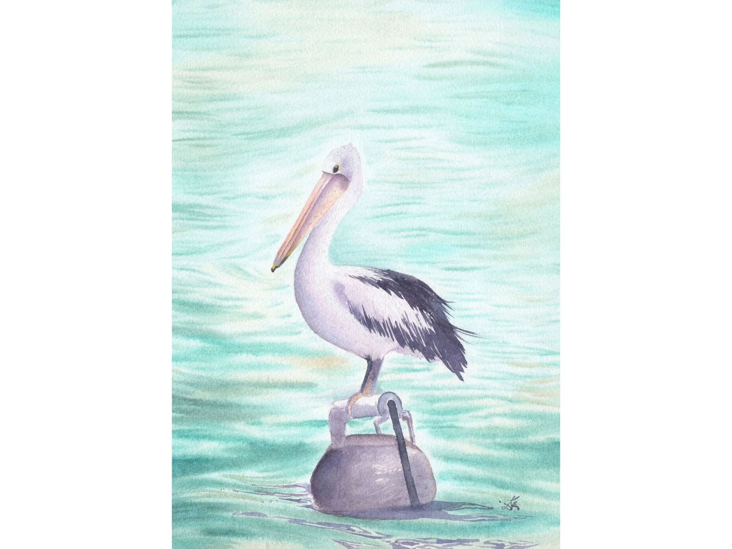 Australian Pelican - Archival Fine Art Print - Rustic Home Decor - Wildlife Nursery Art.jpg