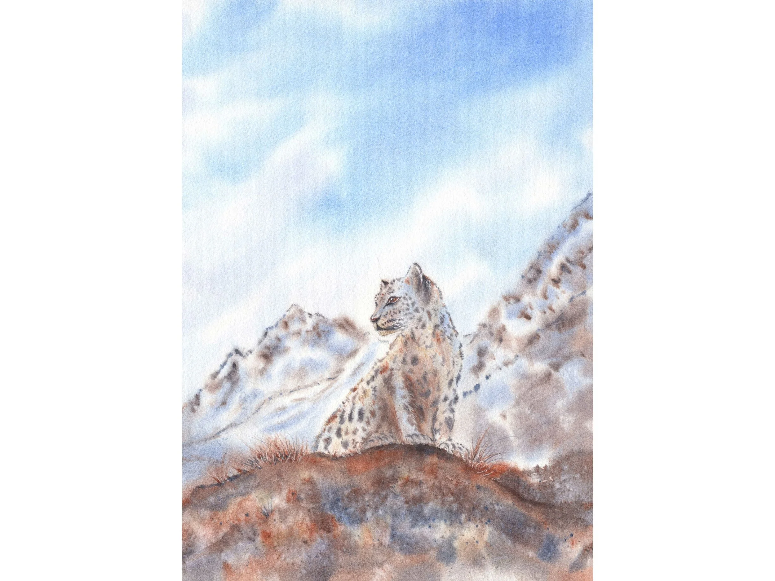 Snow Leopard Poster Wildlife Watercolor Wall Art Mountain Decor Archival Art Print Nature Animal Artwork.jpg
