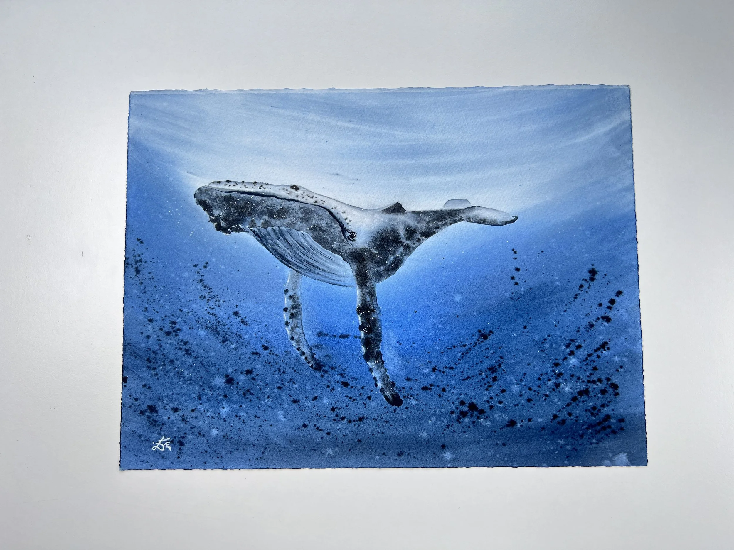 Close up from Humpback Whale Original Watercolour Painting on Paper by Ralitsa Arnaudova Ralice Art