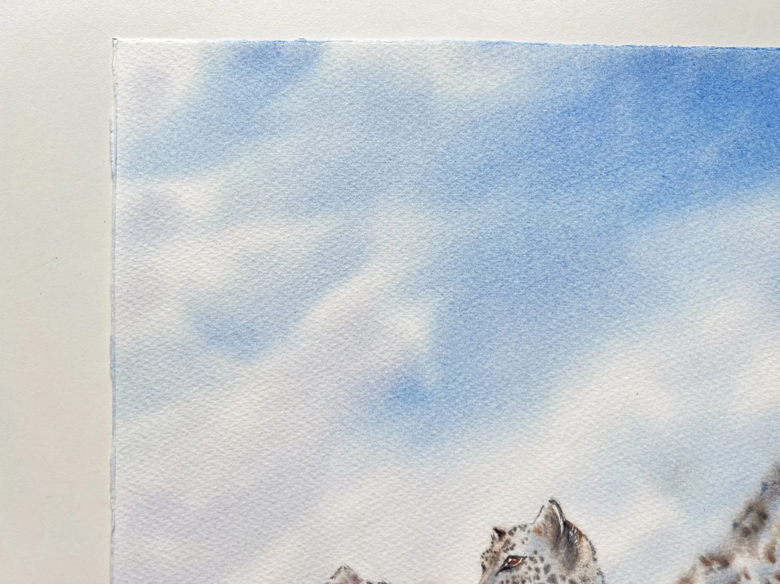 Closeup of an Original Wildlife Watercolor Painting of a Snow Leopard siting on a brown mossy cliff in front of a snowy mountain. Upper left corner