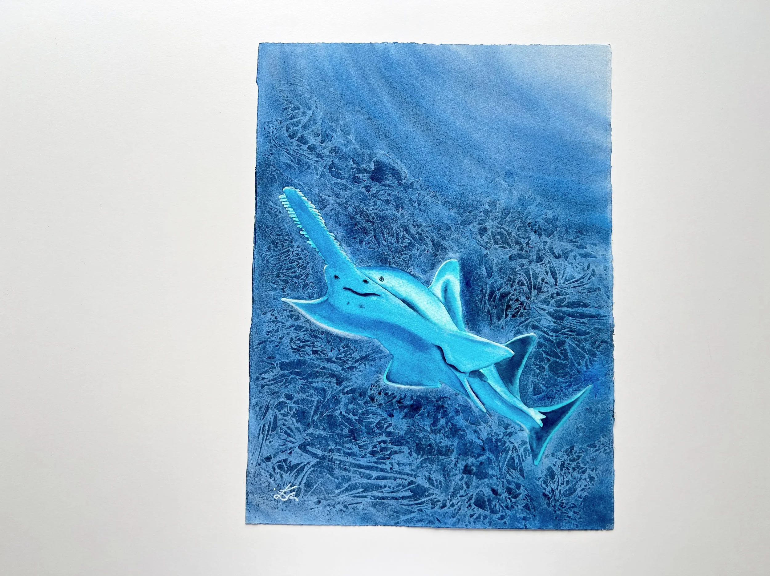 Glowing Sawfish - Original Watercolor Painting of a Carpenter Shark to show the size. 11x15 inches or 28x38cm.