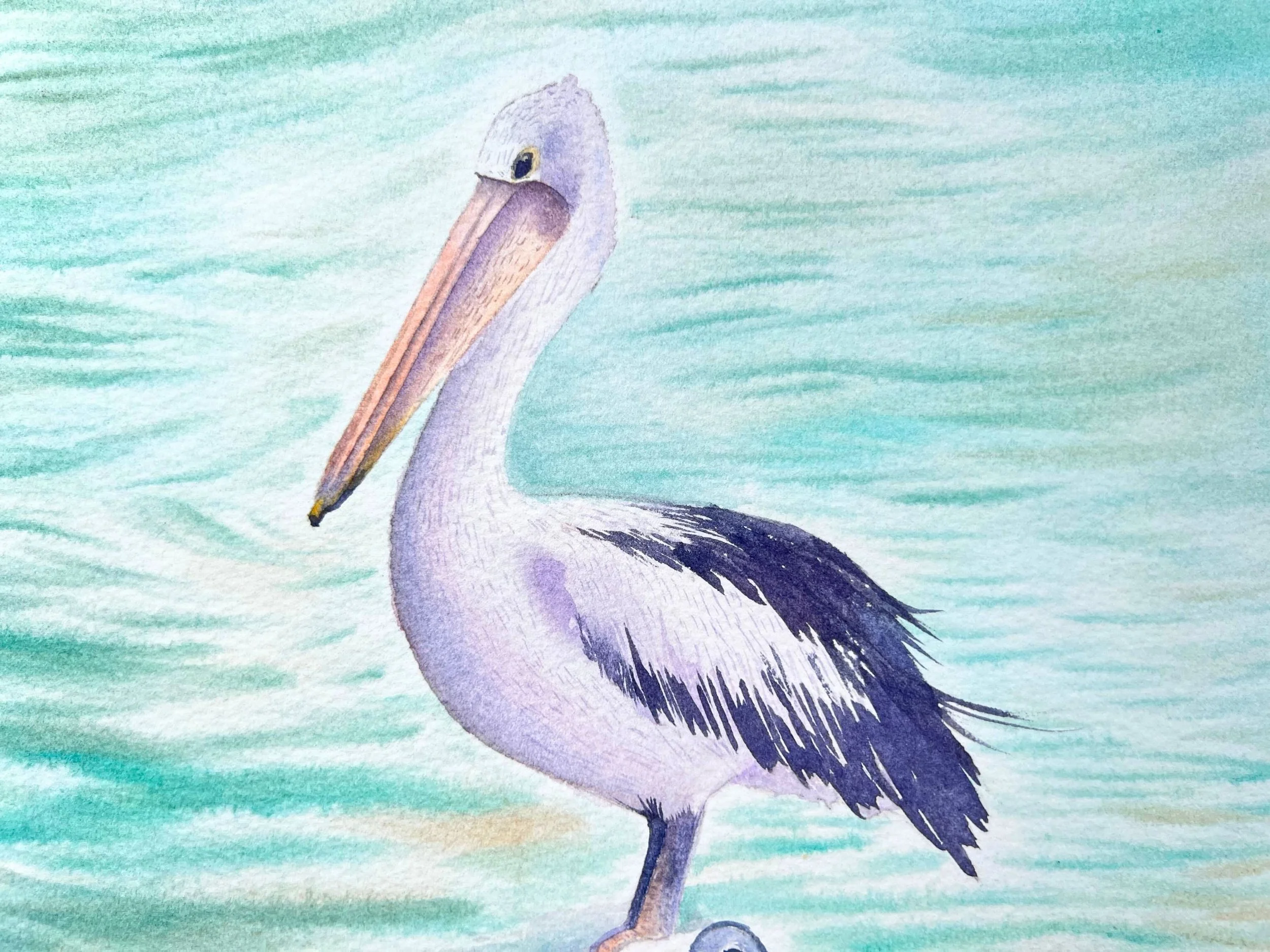 closeup of an Original Watercolor Pelican Painting - Rustic Home Decor - Wildlife Nursery Art