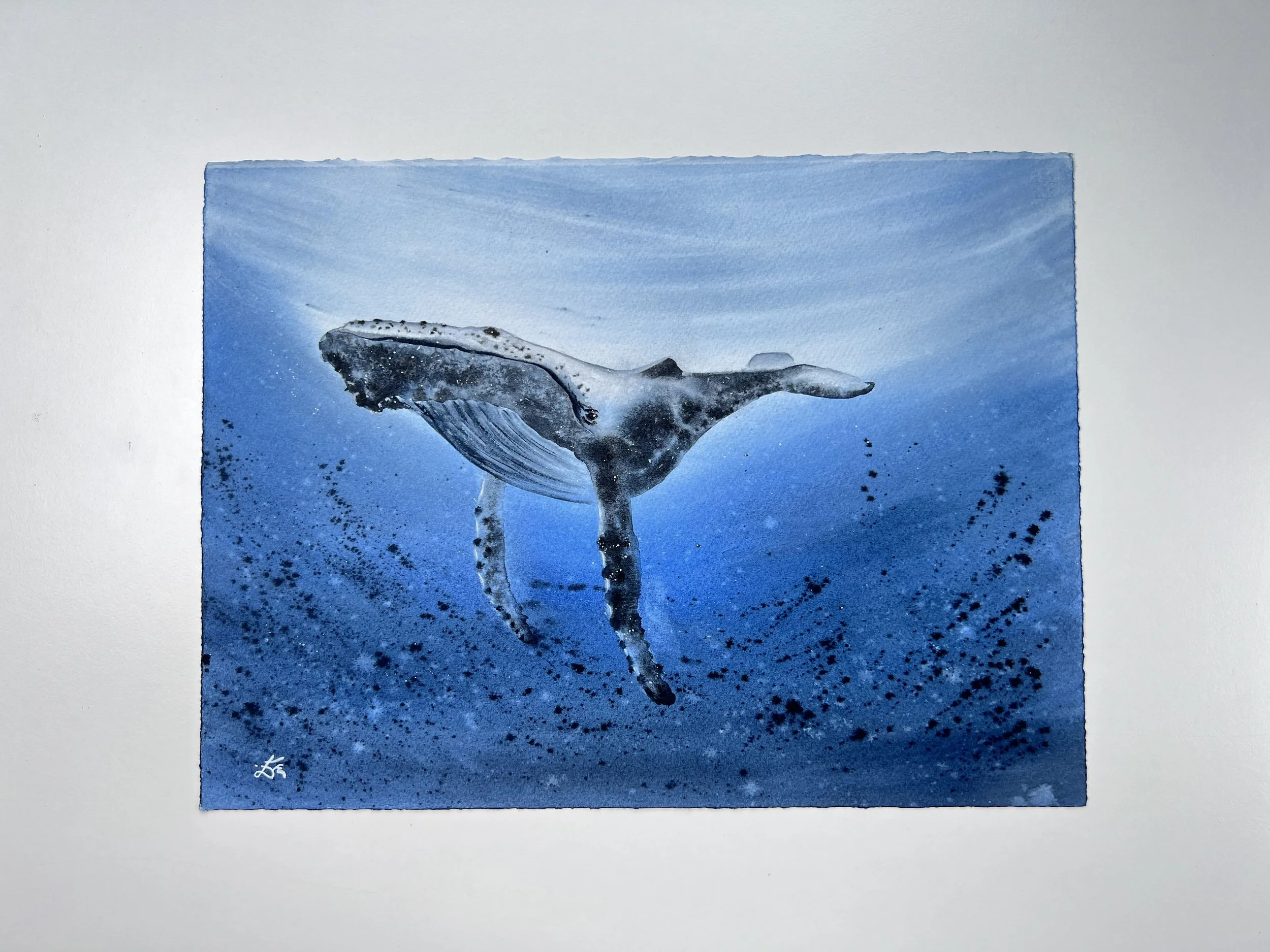 Close up from Humpback Whale Original Watercolour Painting on Paper by Ralitsa Arnaudova Ralice Art