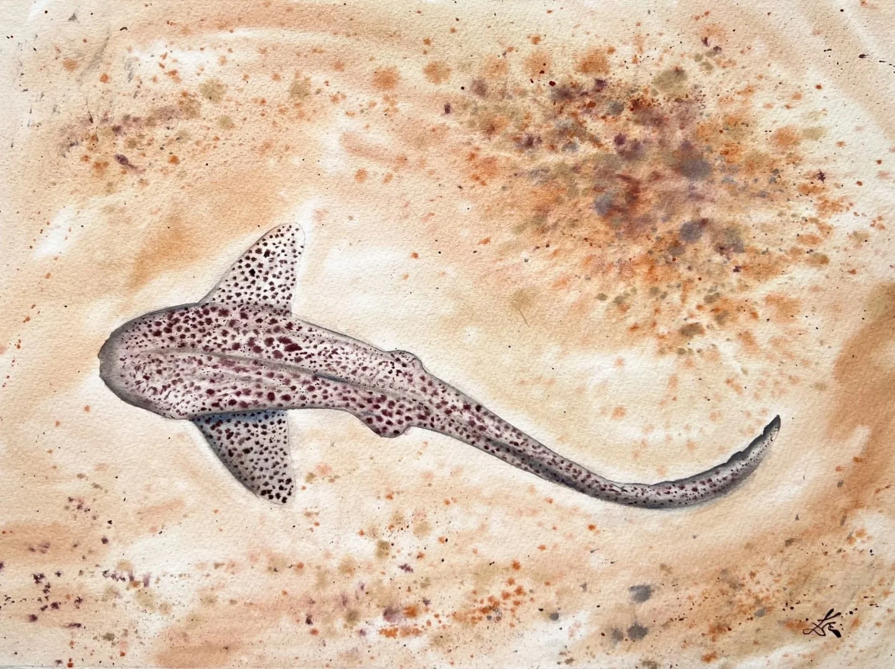 Close up of Leopard Shark. You can see the bottom left corner of the painting.