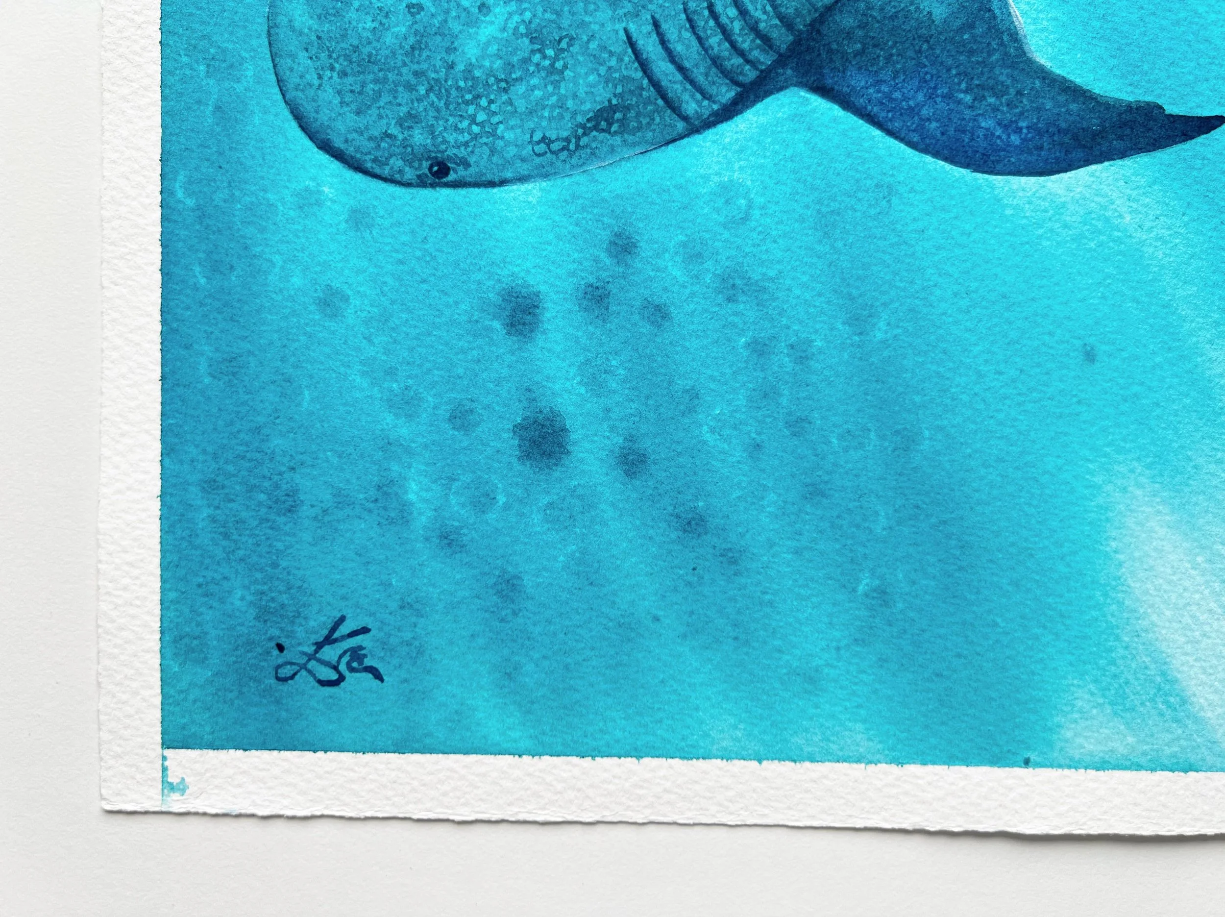 A close-up of the tale of a whale shark swimming underwater and the entire bottom left corner.