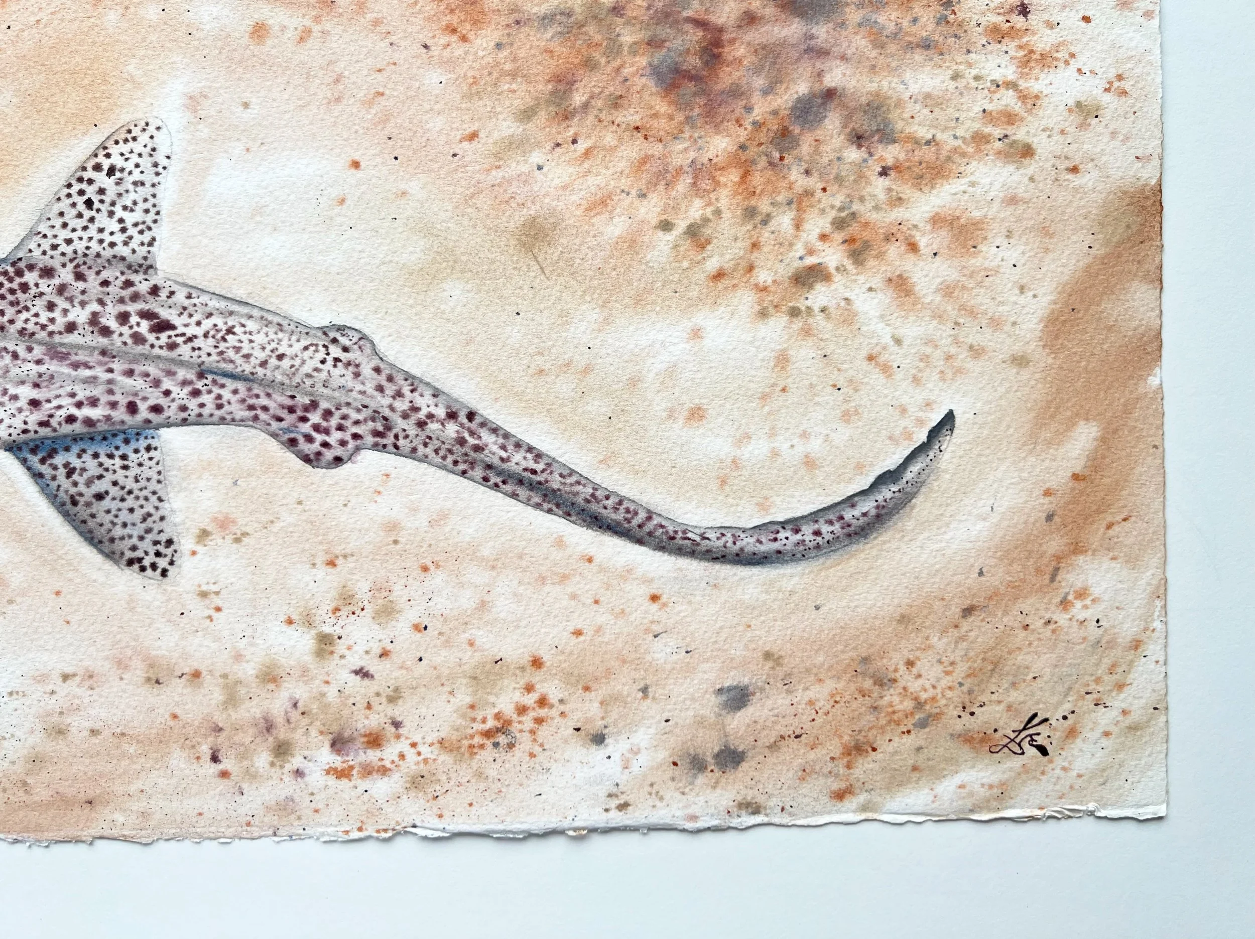 Close up of Leopard Shark. You can see the bottom right corner of the painting.