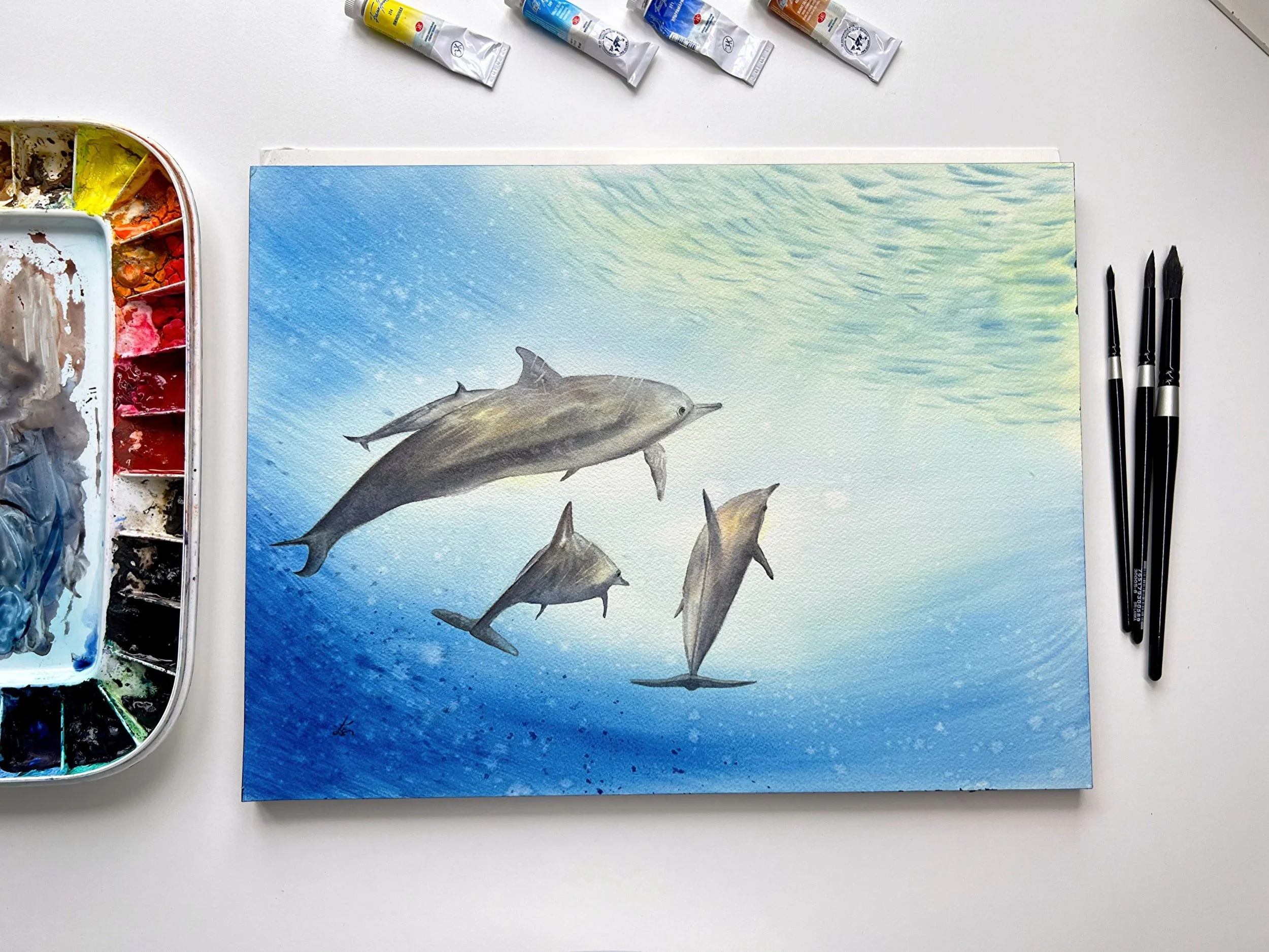 Wildlife Animals in Watercolor: Dolphins Swimming Up Towards the Light