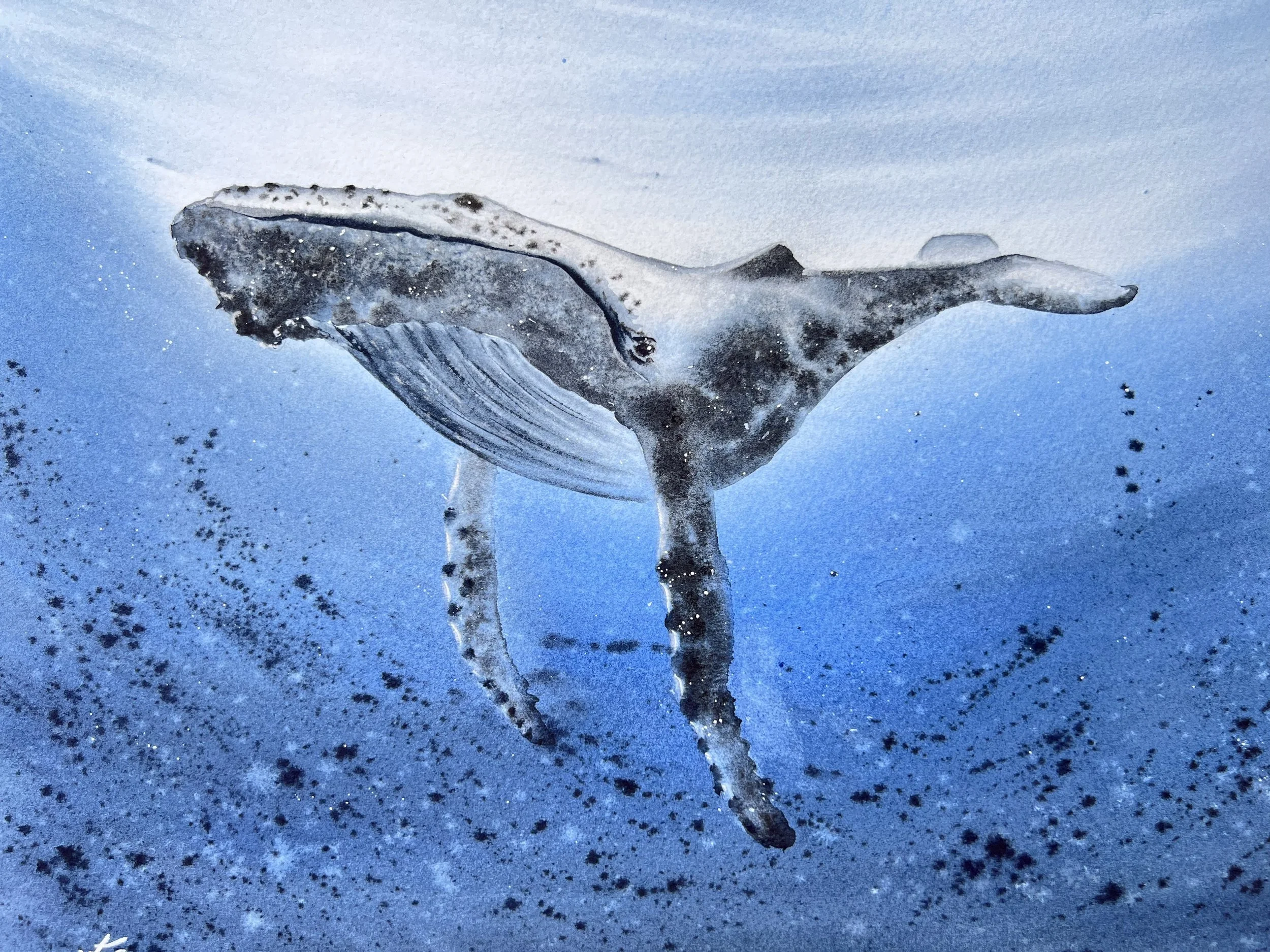 Close up from Humpback Whale Original Watercolour Painting on Paper by Ralitsa Arnaudova Ralice Art