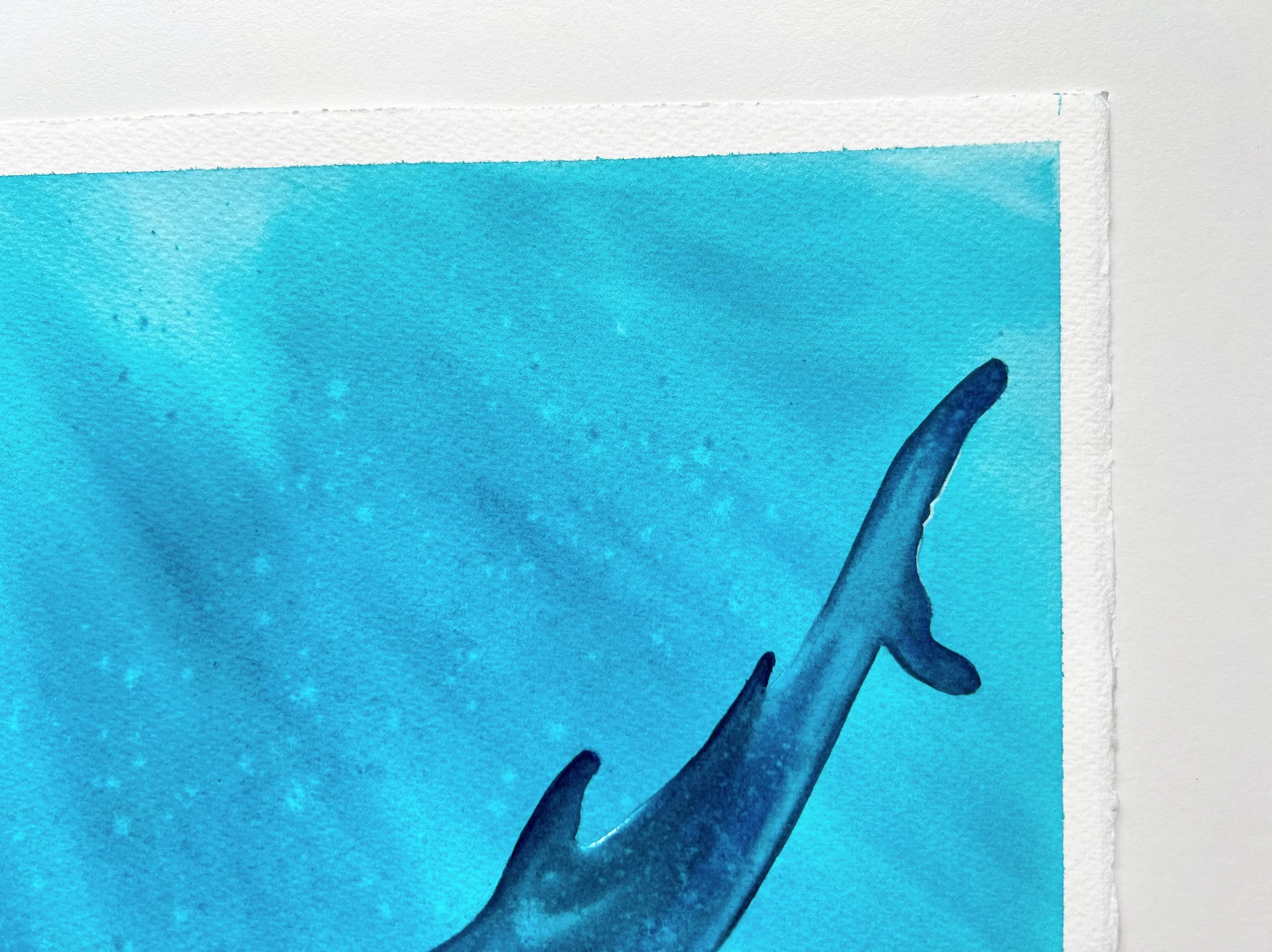 A close-up of the tale of a whale shark swimming underwater and the entire top right corner.