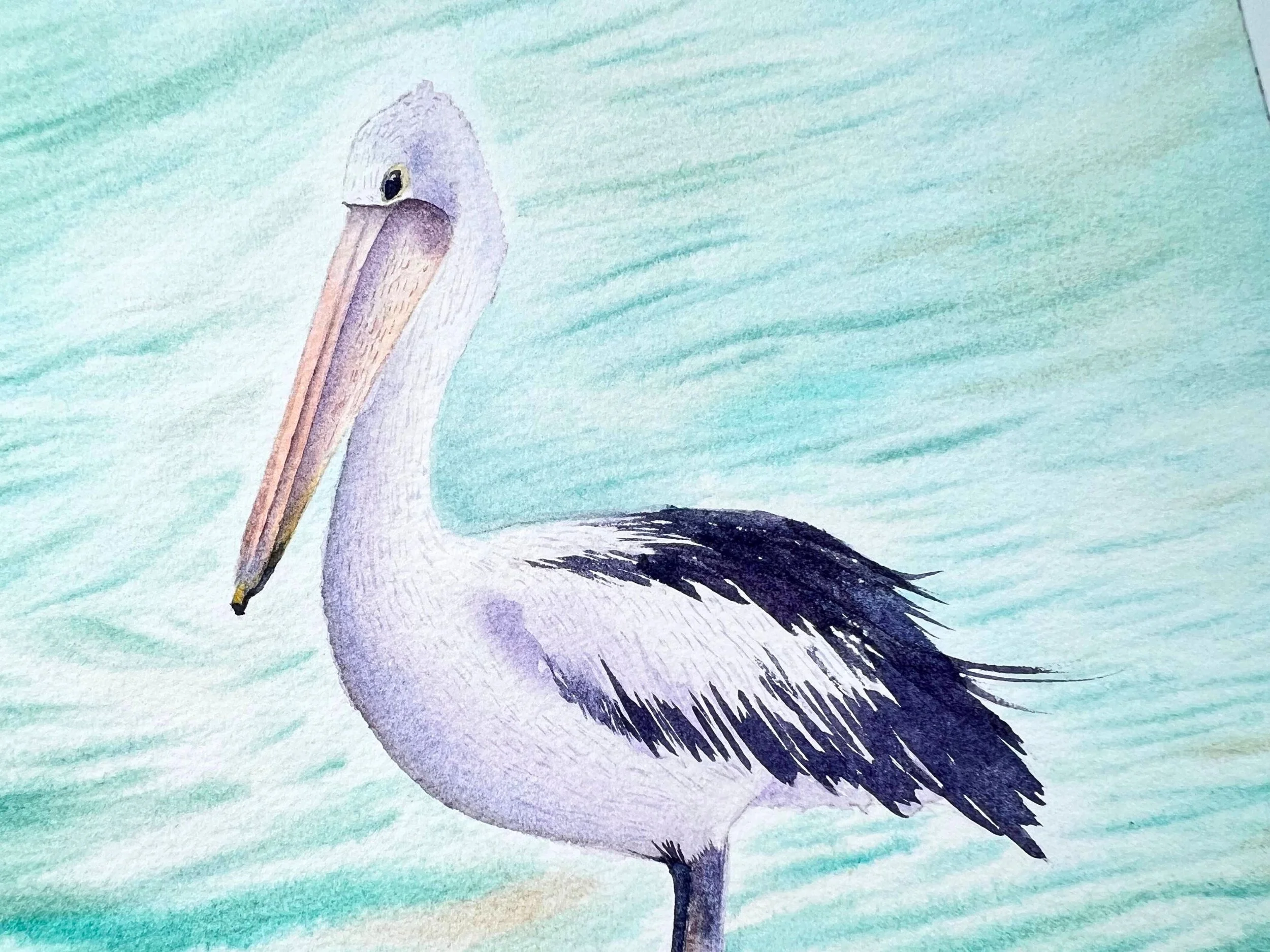 closeup of an Original Watercolor Pelican Painting - Rustic Home Decor - Wildlife Nursery Art