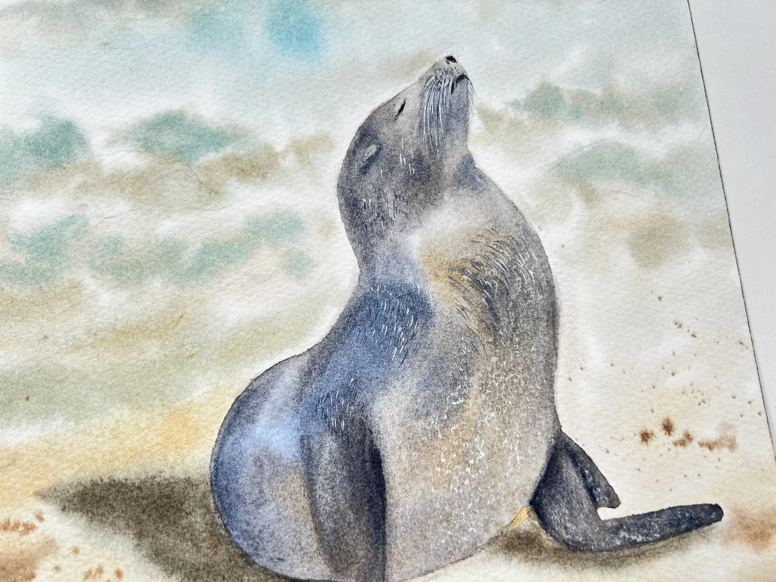 Close up of an original watercolor features a gentle Sunbathing Seal on the beach, painted in impressionistic style. Just the head is visible here