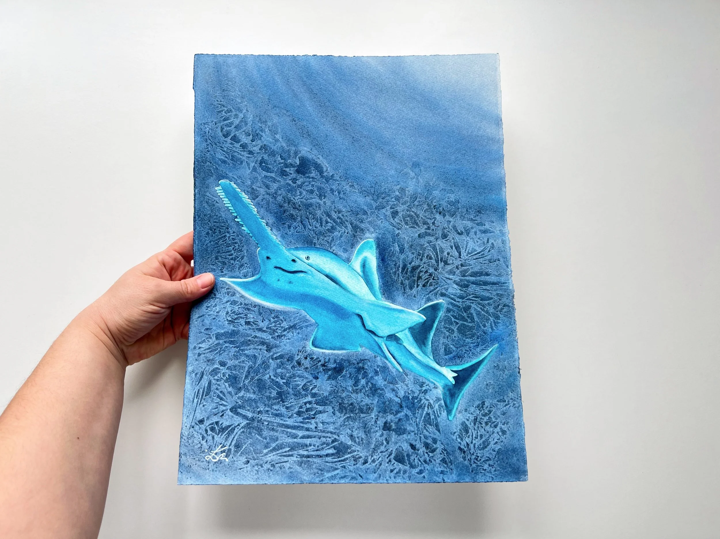 Glowing Sawfish - Original Watercolor Painting of a Carpenter Shark in my hand to show the size. 11x15 inches or 28x38cm.