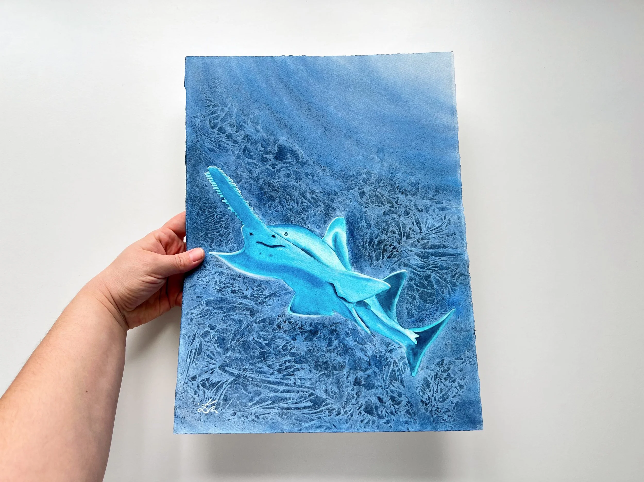 Glowing Sawfish - Original Watercolor Painting of a Carpenter Shark in my hand to show the size. 11x15 inches or 28x38cm.