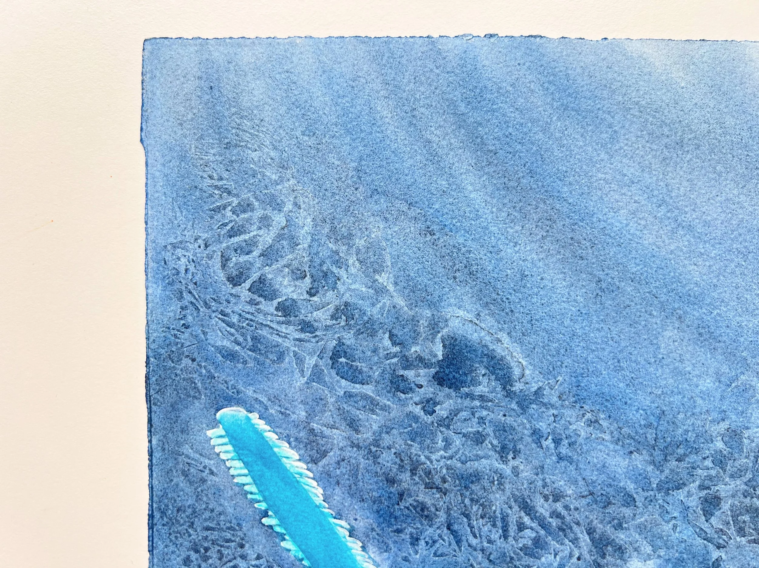 Close up of Original Watercolor Painting of a Carpenter Shark ( Sawfish)