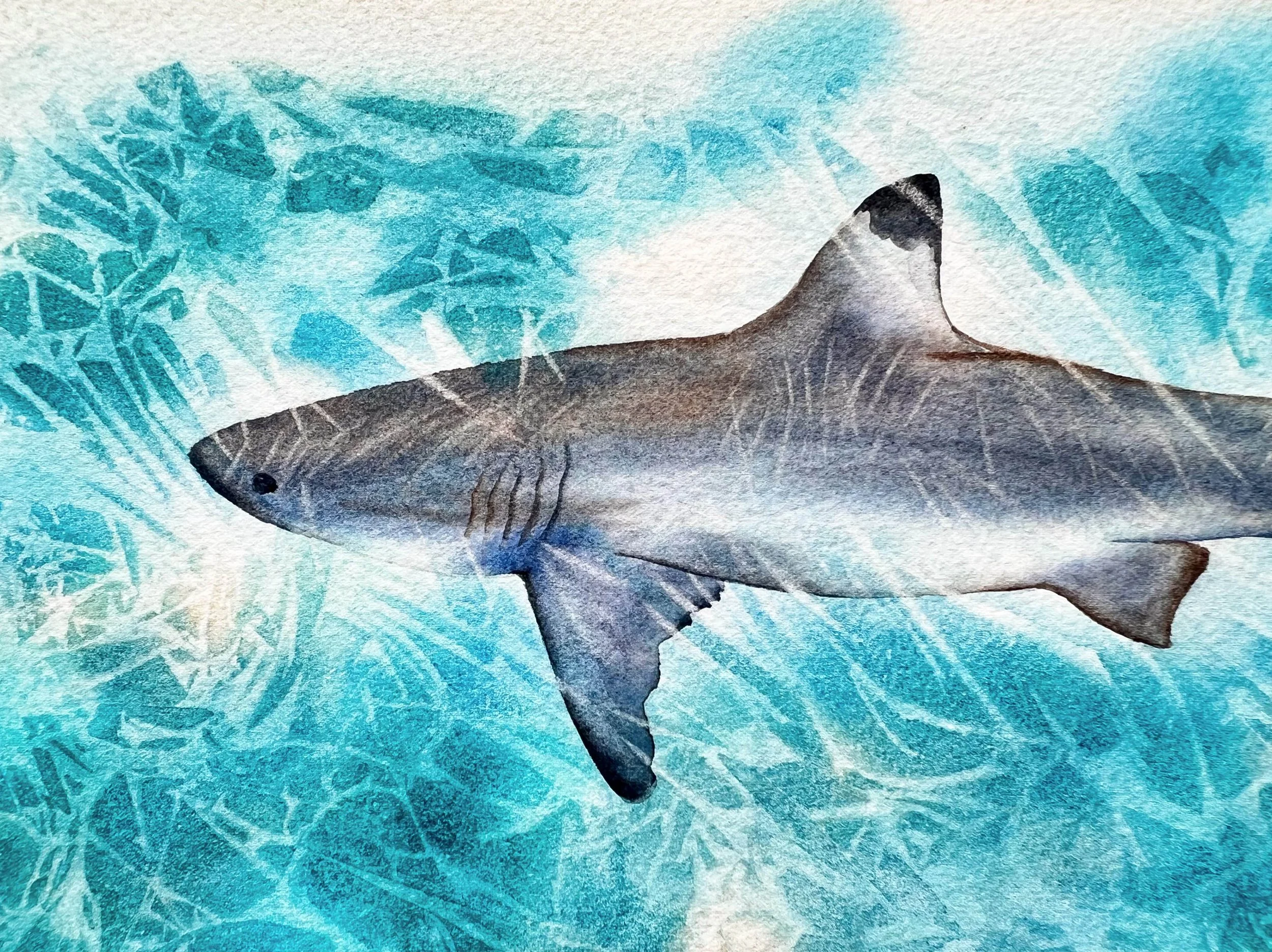 Close up from the Sunlit Shark - Original Watercolor Painting of a Blue Shark
