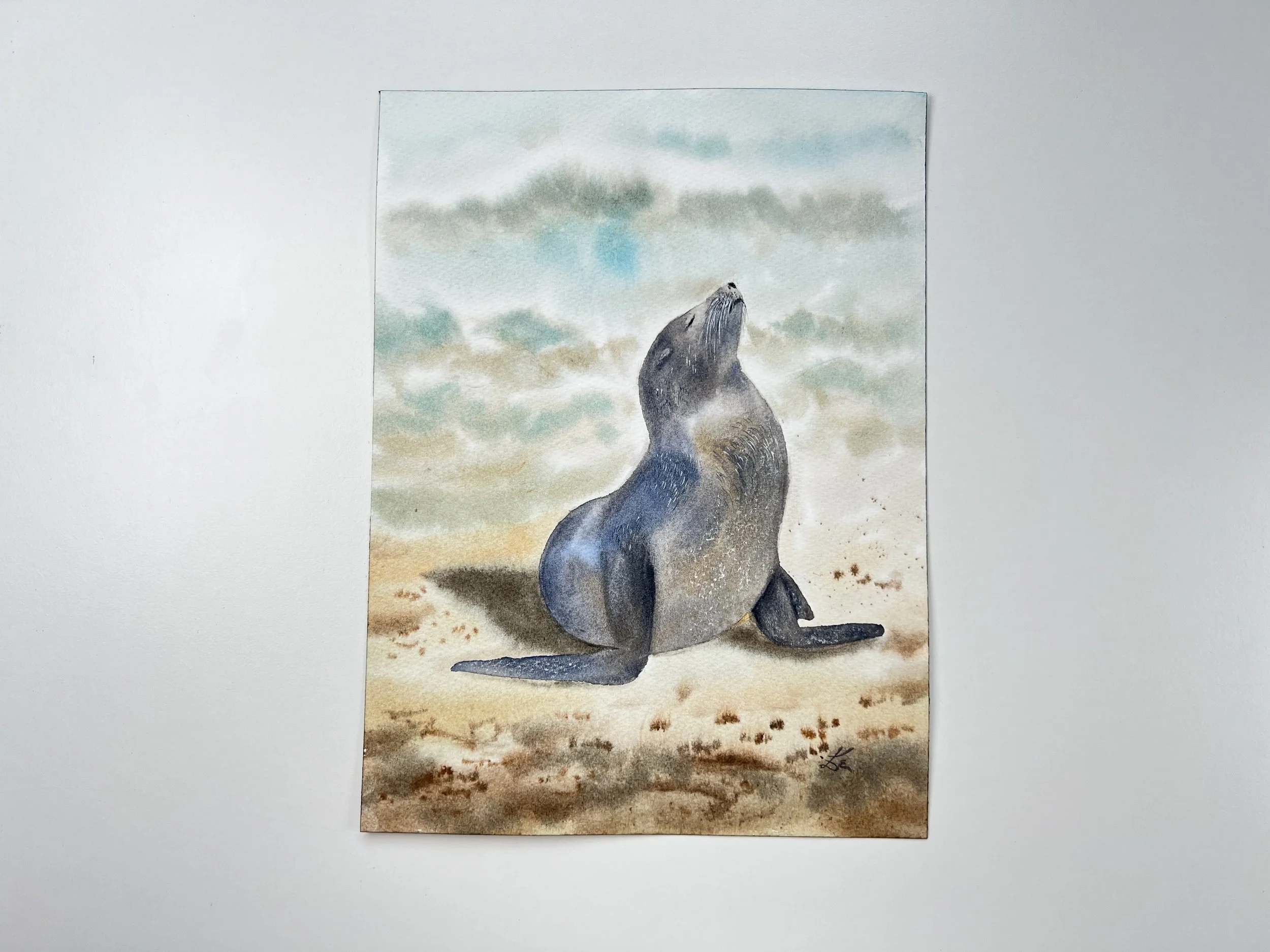 Close up of an original watercolor features a gentle Sunbathing Seal on the beach, painted in impressionistic style.