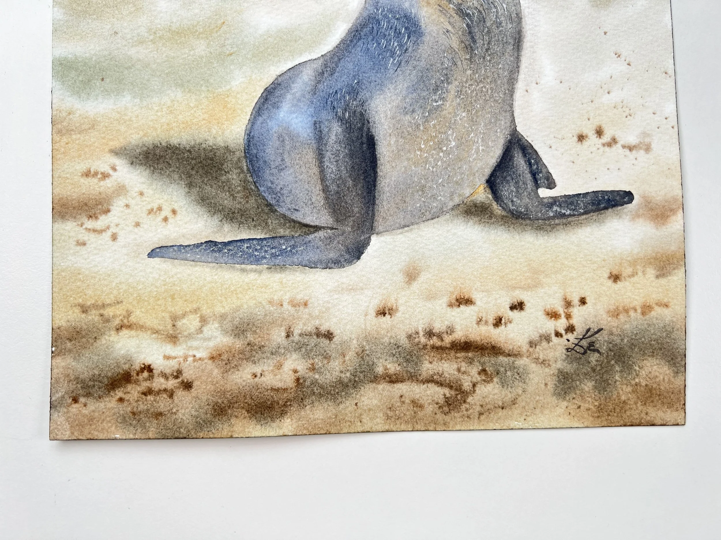 Close up of an original watercolor features a gentle Sunbathing Seal on the beach, painted in impressionistic style. Just the bottom of the body is visible here