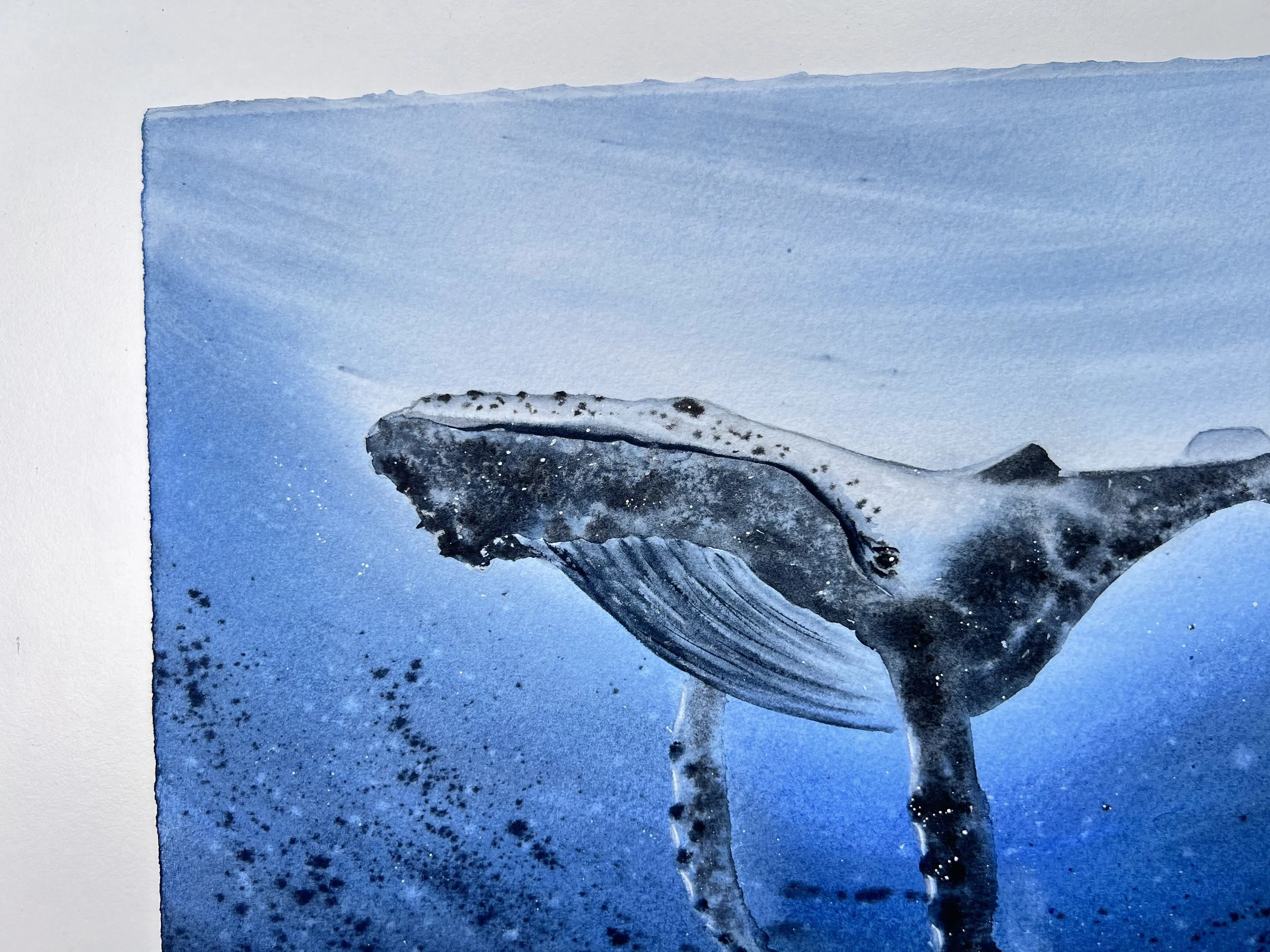 Close up from Humpback Whale Original Watercolour Painting on Paper by Ralitsa Arnaudova Ralice Art