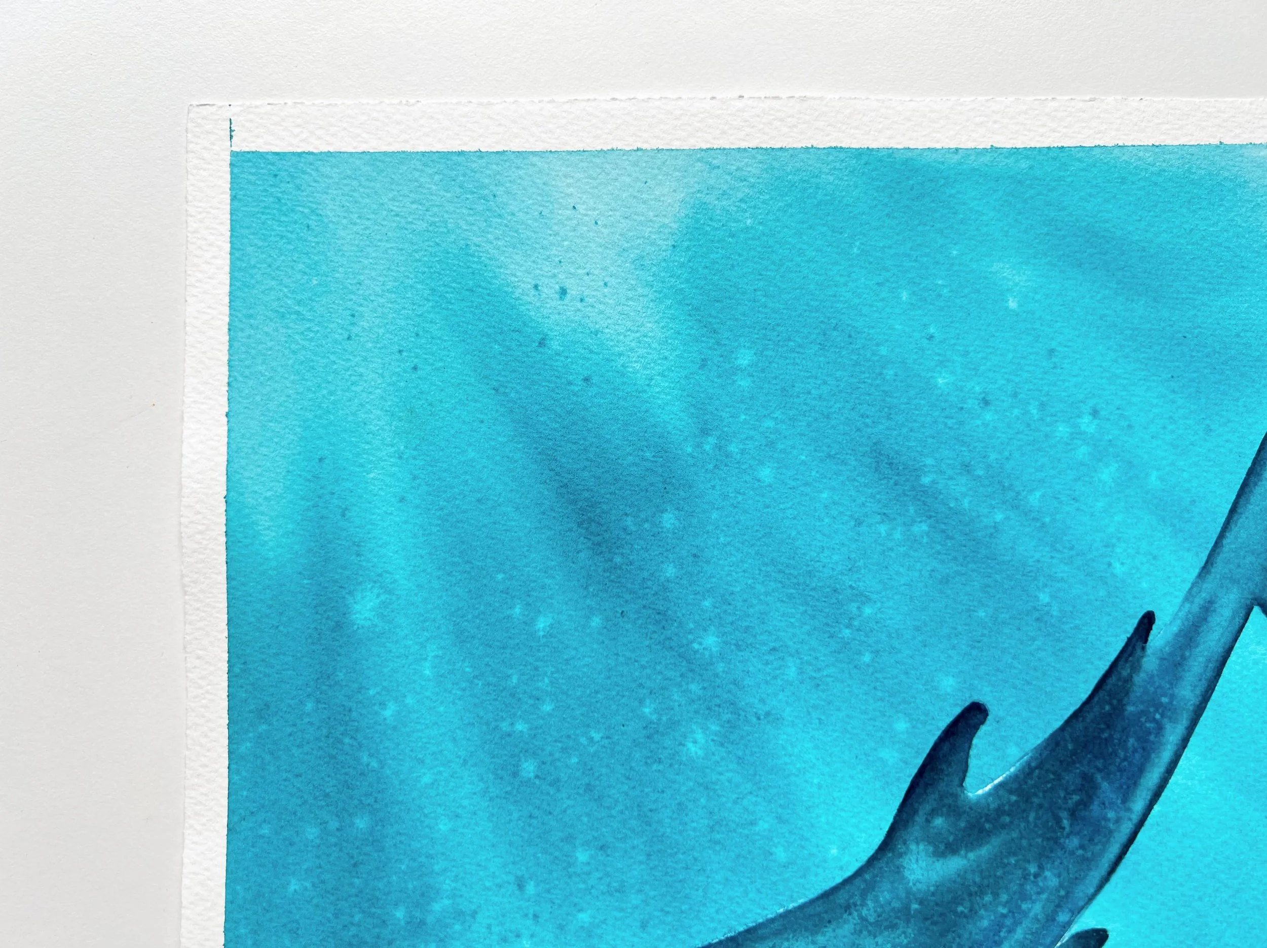 A close-up of the tale of a whale shark swimming underwater and the entire top left corner.