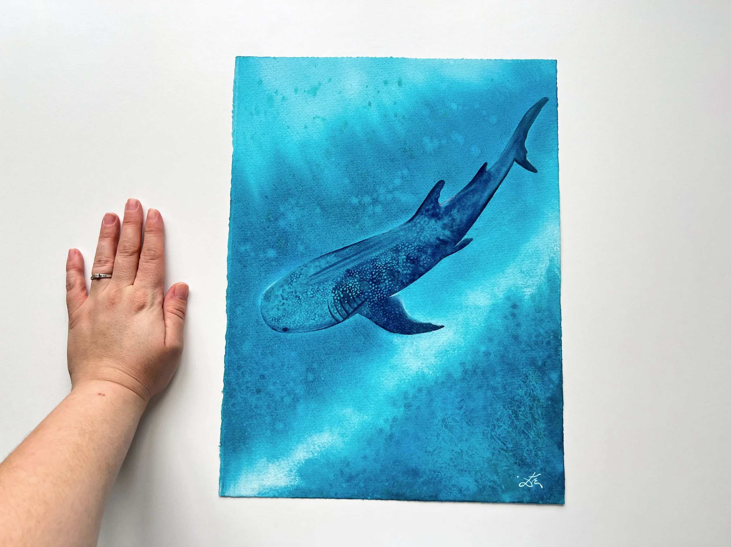 A closeup of a whale shark swimming underwater next to my hand, so you can imagine the size of the painting. It`s a bit smaller than A3.