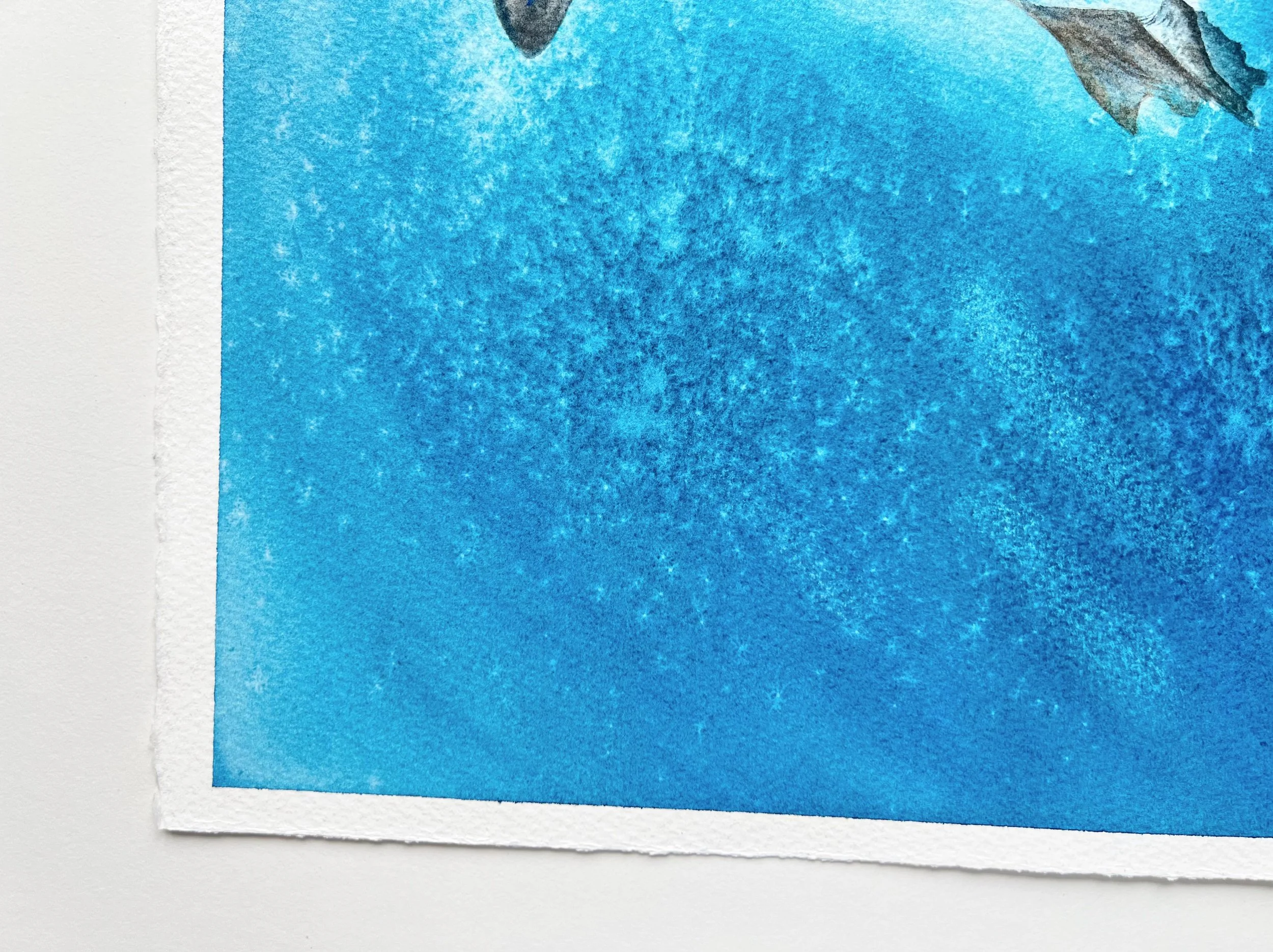 Close up from Galapagos penguin Watercolor Painting. This is the bottom left corner.