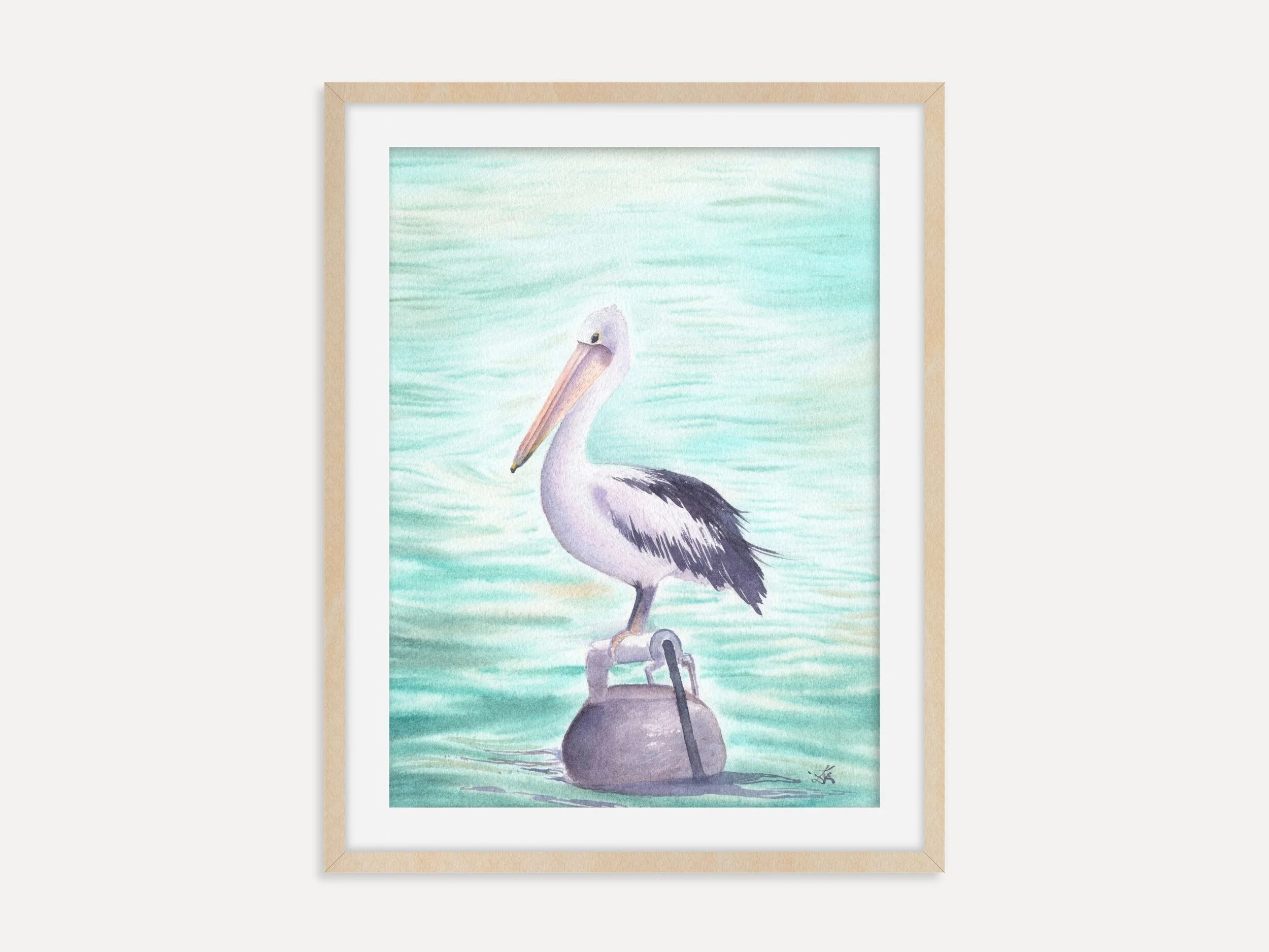 Australian Pelican - Archival Fine Art Print - Rustic Home Decor - Wildlife Nursery Art 1.jpg