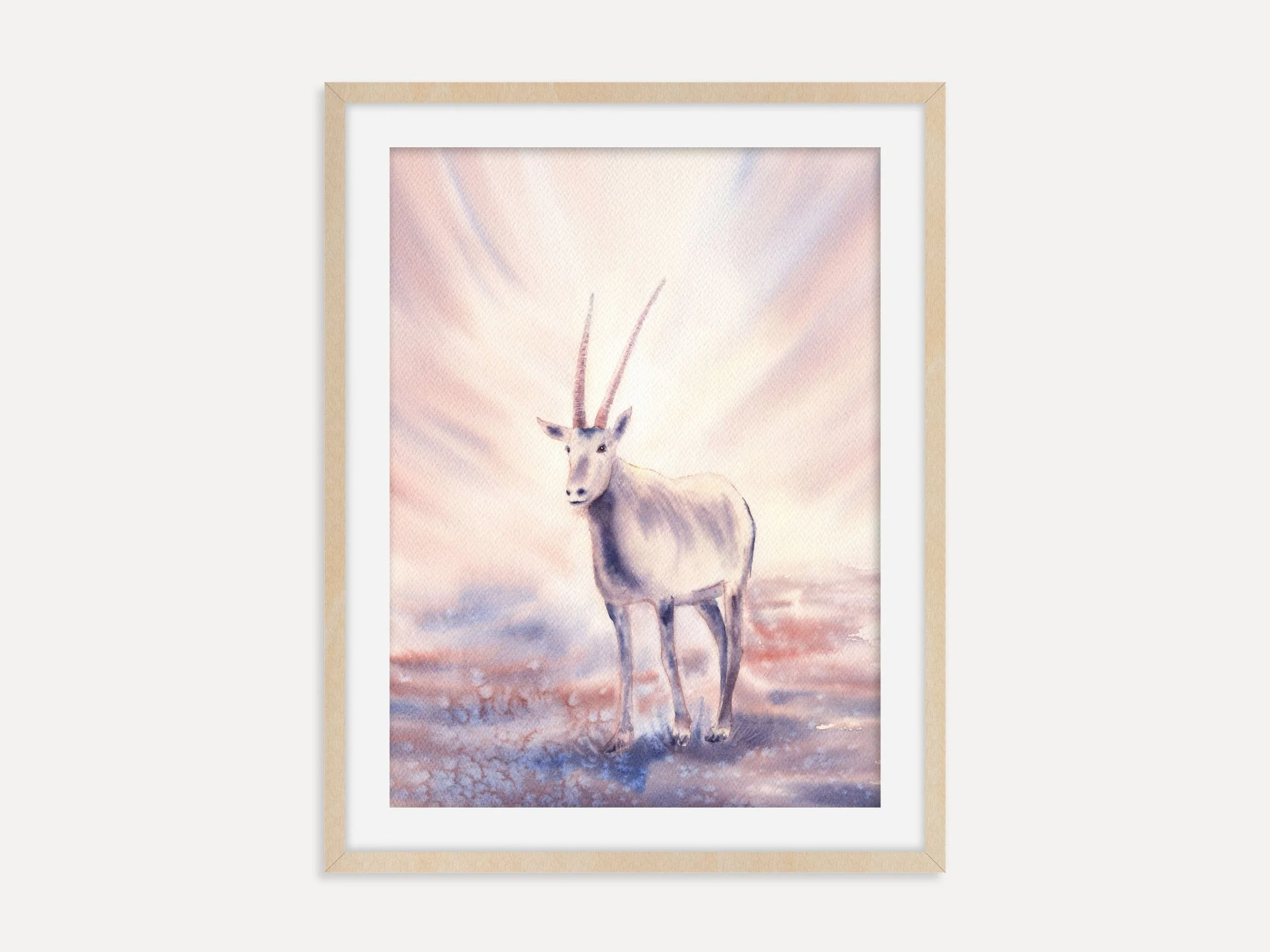 Oryx Antelope - Art Print