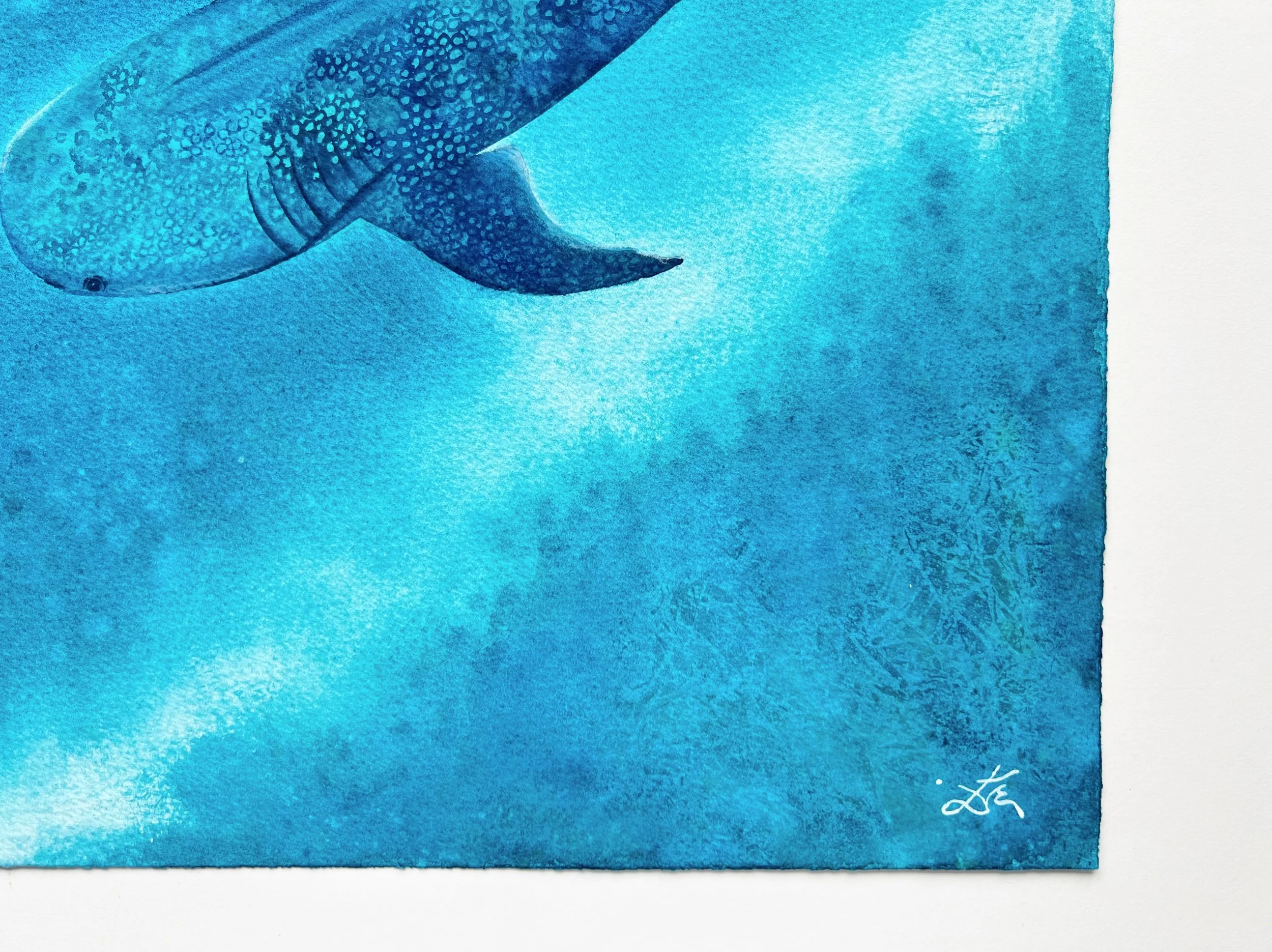 A closeup of the head of a whale shark swimming underwater and the entire bottom right corner.