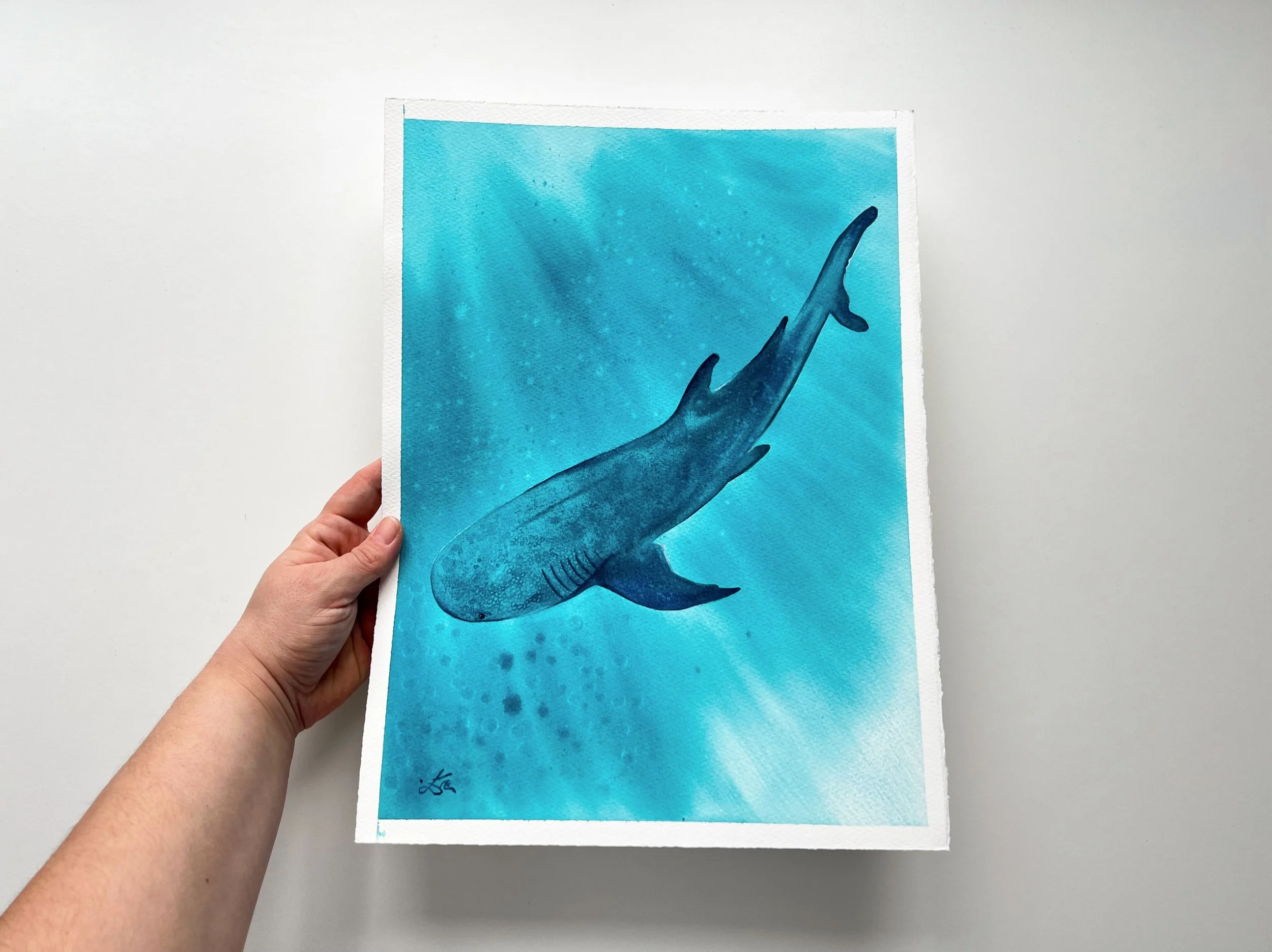 closeup of a whale shark swimming underwater next to my hand, so you can imagine the size of the painting. It`s a bit smaller than A3.