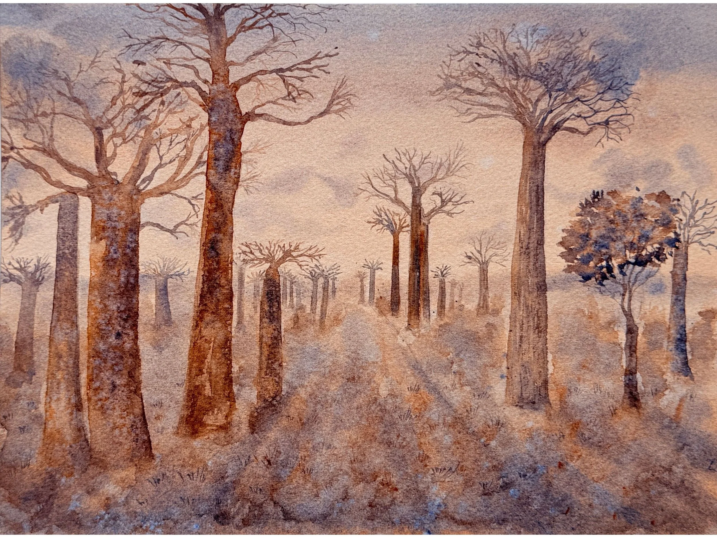 Original Watercolor Baobab Tree Landscape – African Inspired Sunset Forest Scene – Warm Earth Tone Nature Art.jpg