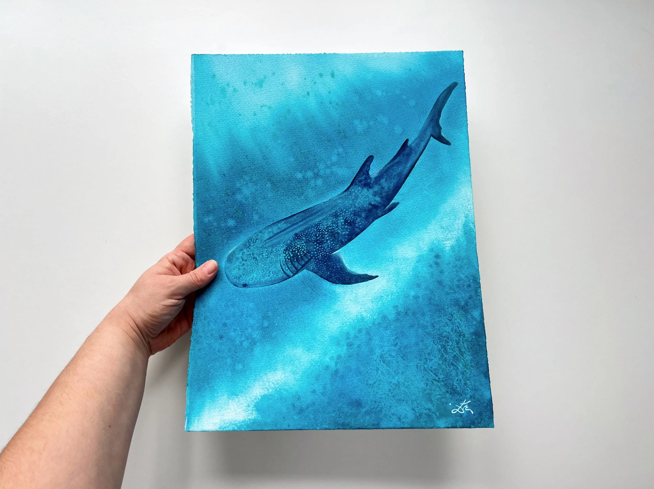 A closeup of a whale shark swimming underwater next to my hand, so you can imagine the size of the painting. It`s a bit smaller than A3.