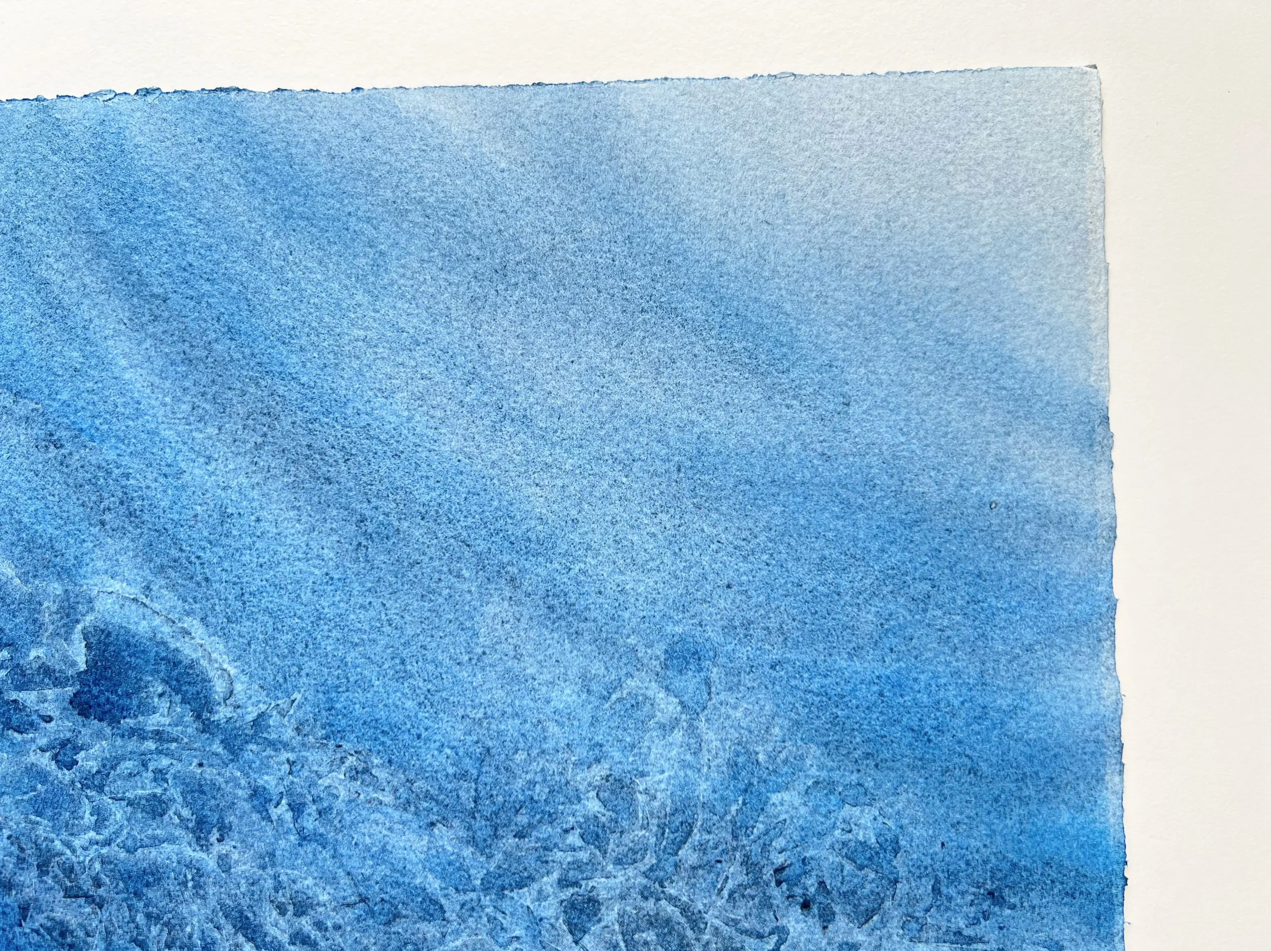 Close up of Original Watercolor Painting of a Carpenter Shark ( Sawfish)