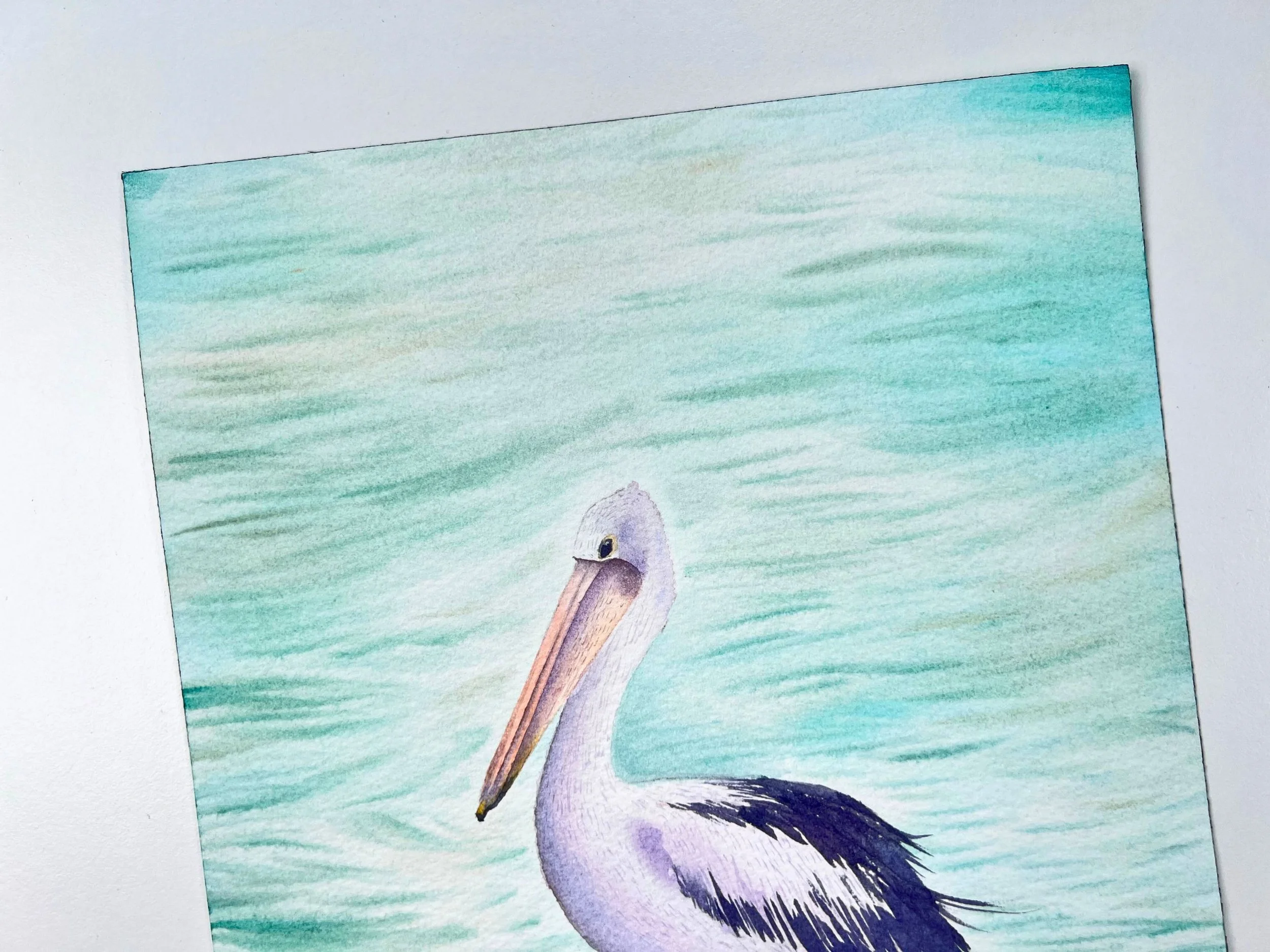 Close-up of Australian Pelican Original Watercolor Painting Unframed- Wildlife Art for Rustic Homes