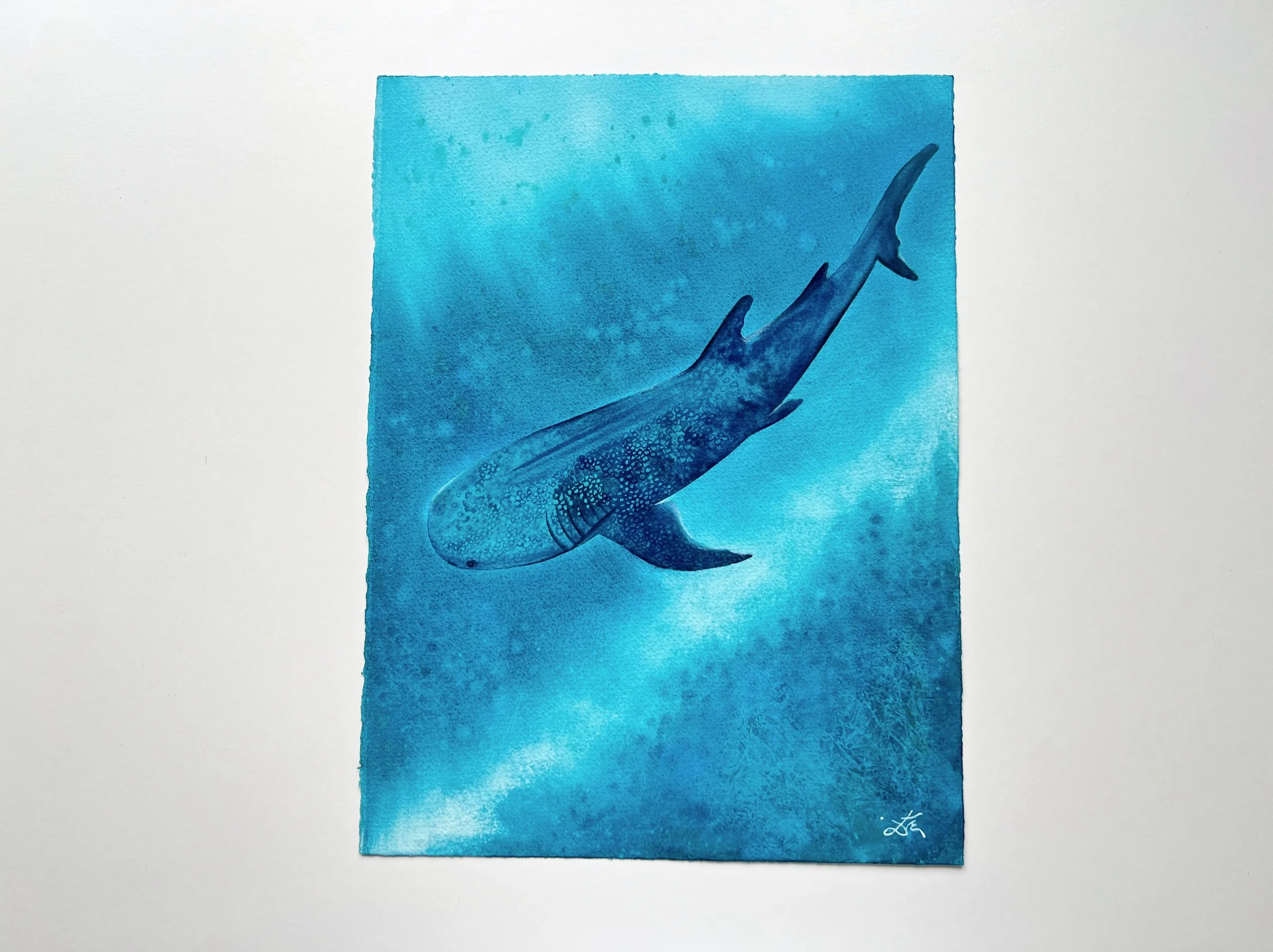 A closeup of a whale shark swimming underwater next to my hand, so you can imagine the size of the painting. It`s a bit smaller than A3.