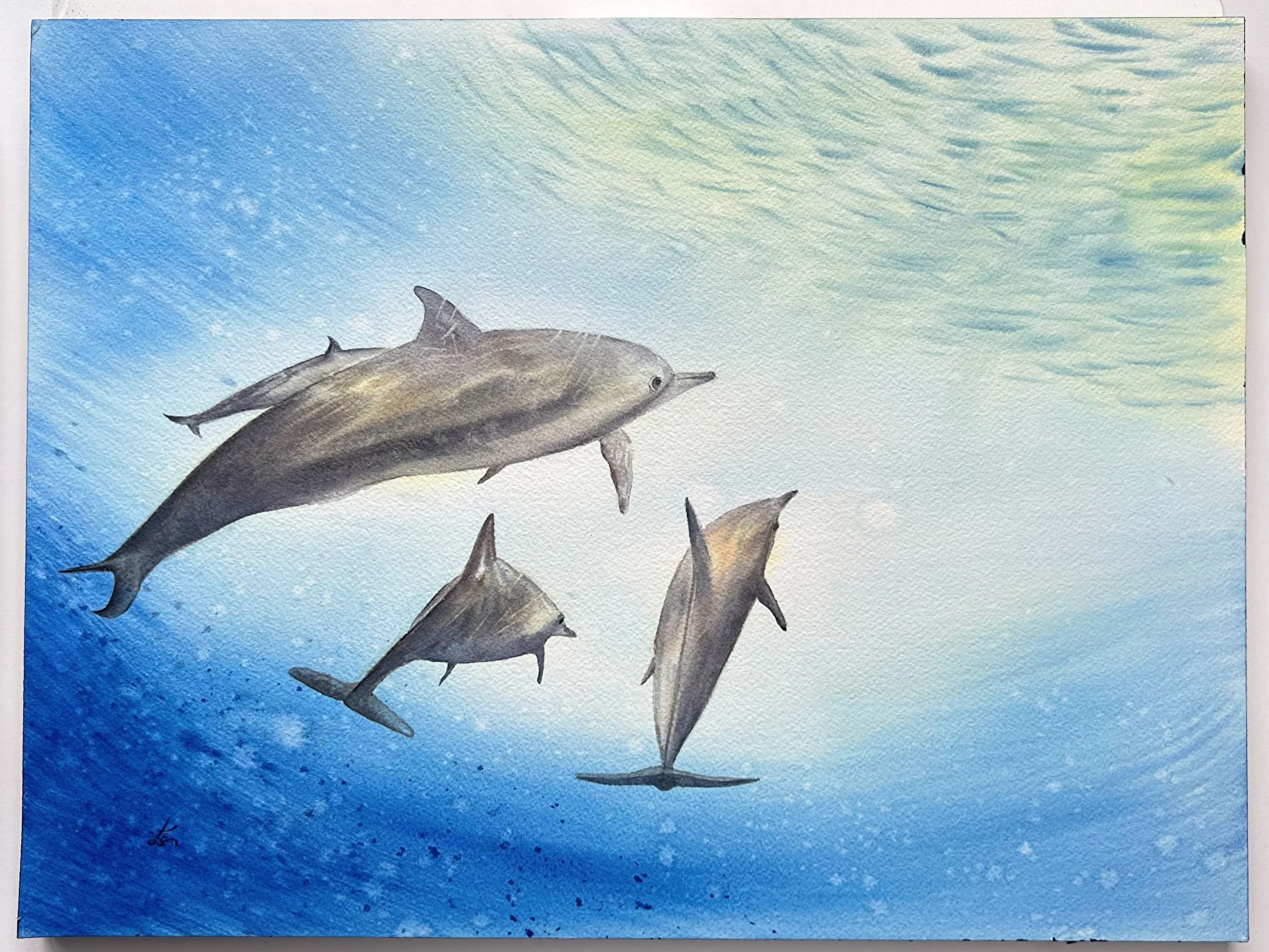 Underwater Creatures Art: Dolphins in Watercolor - Marine Mammals