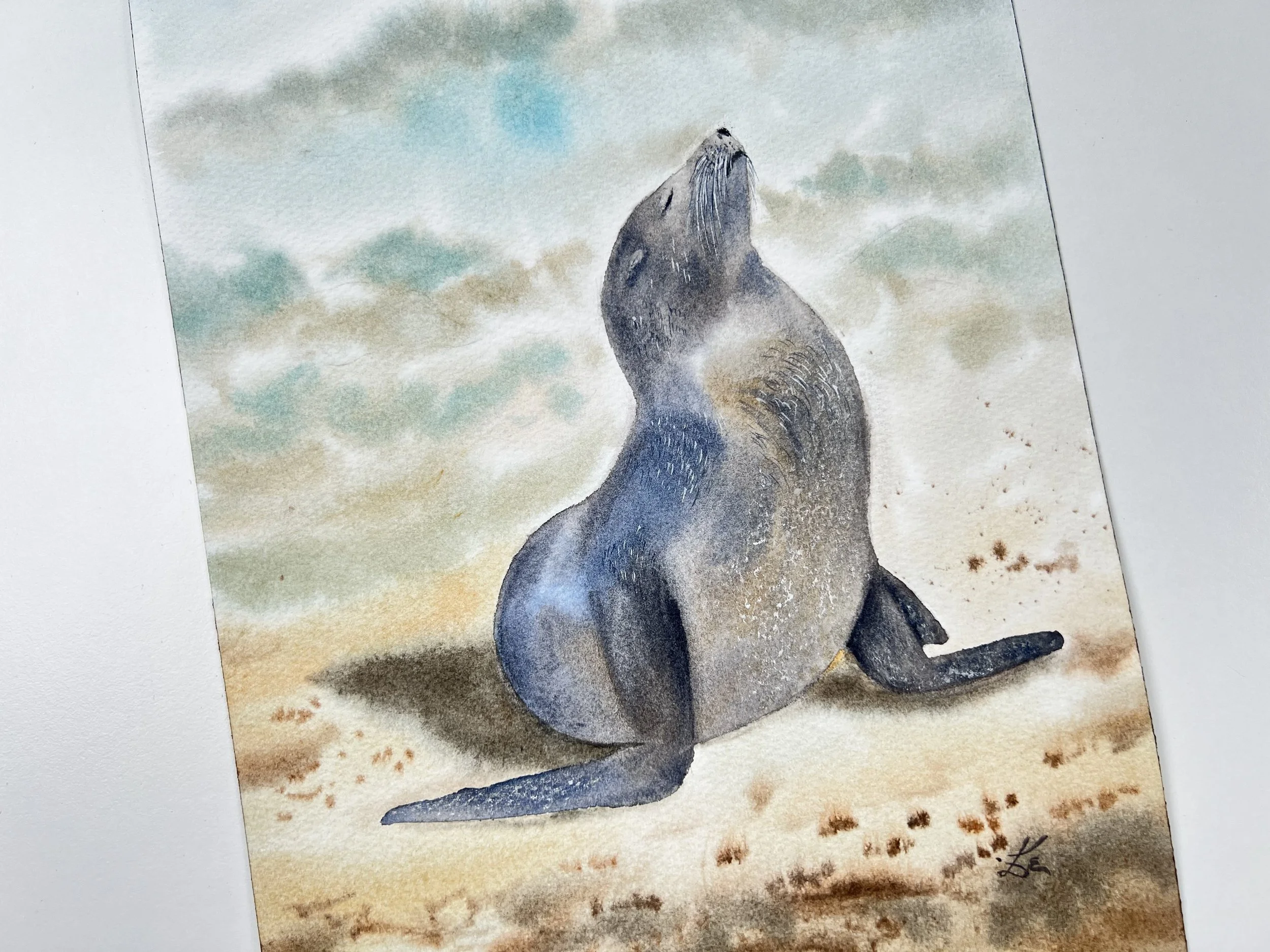 Close up of an original watercolor features a gentle Sunbathing Seal on the beach, painted in impressionistic style. Just the body is visible here