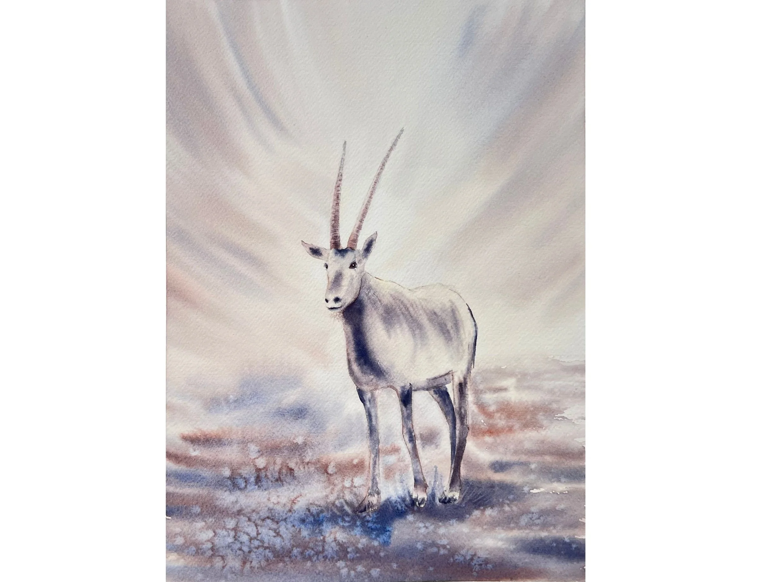 Anthilope Oryx - Original Watercolor Painting.jpg